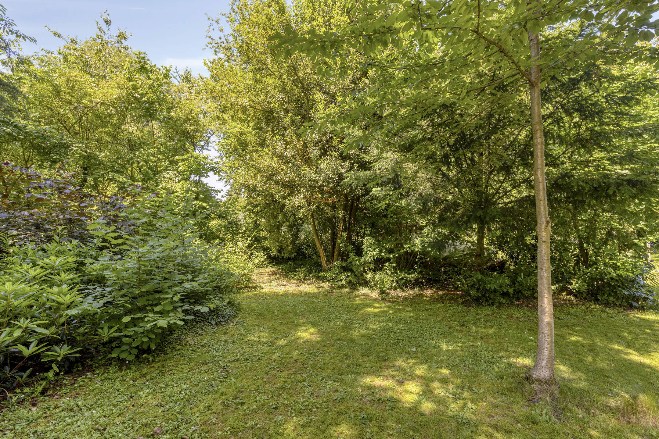 Picture 4 of 4 for House with three bedrooms in Dilbeek