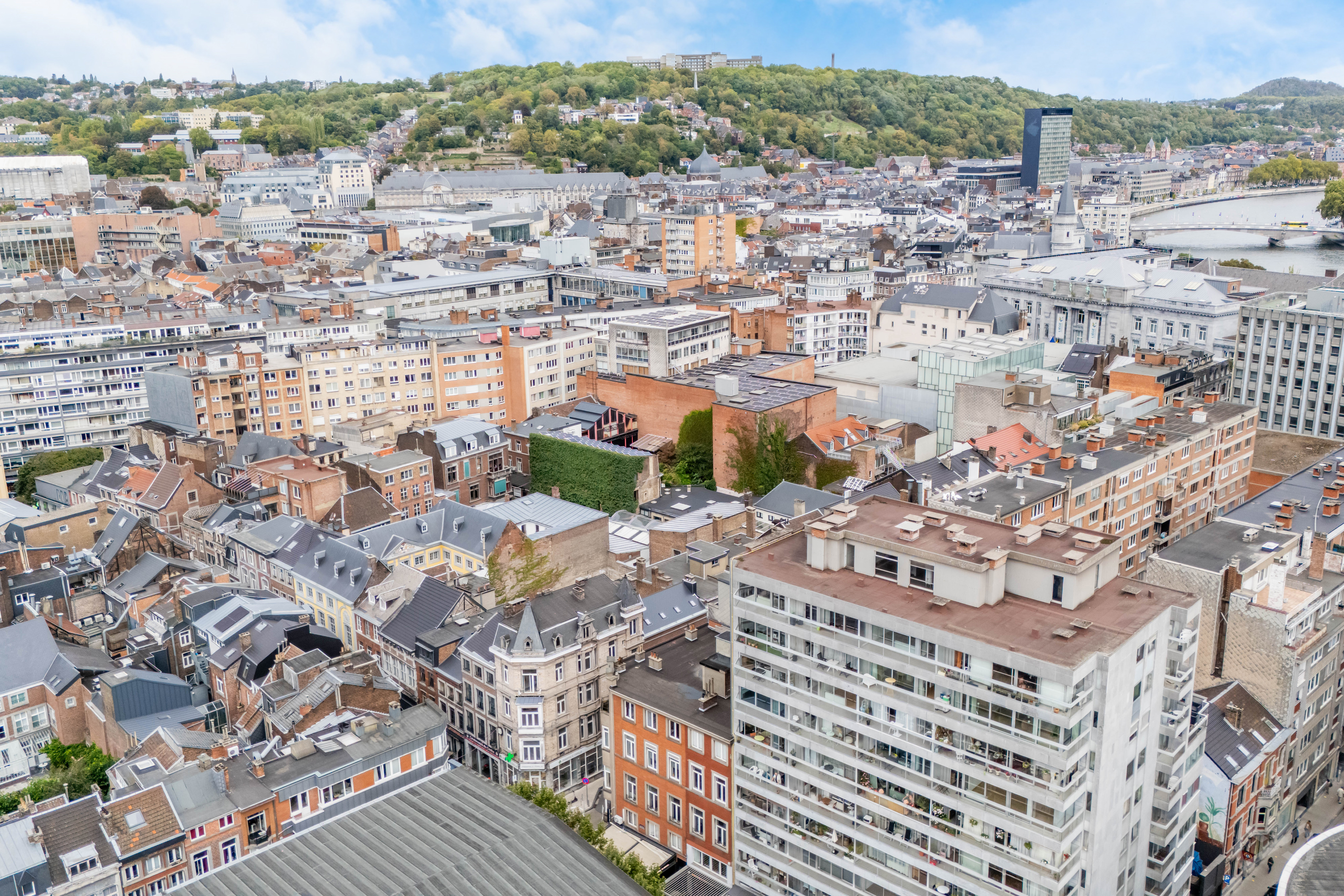 Picture 3 of 4 for Flat with four bedrooms in Liège