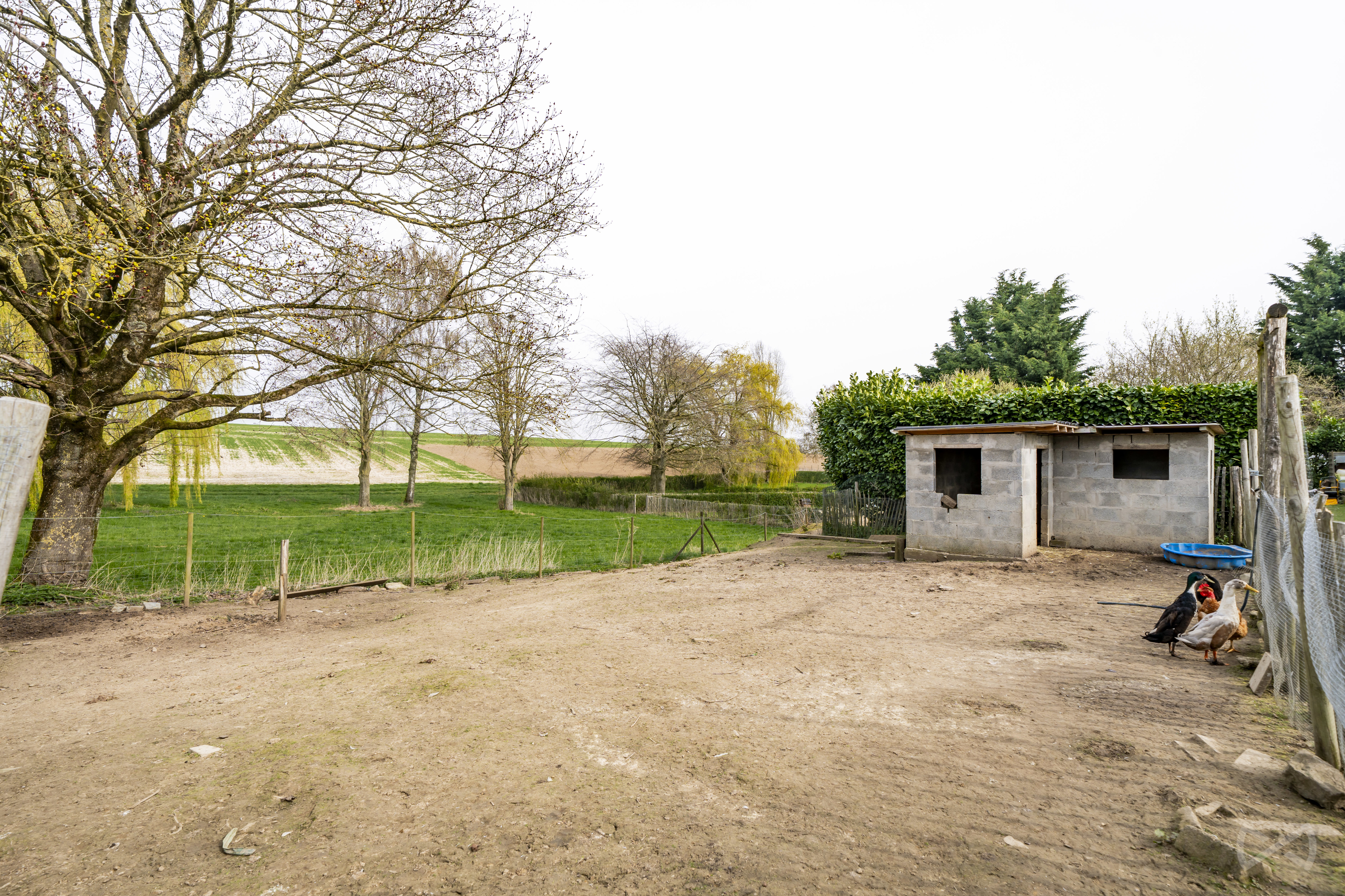 Picture 1 of 4 for Villa with three bedrooms in Genappe