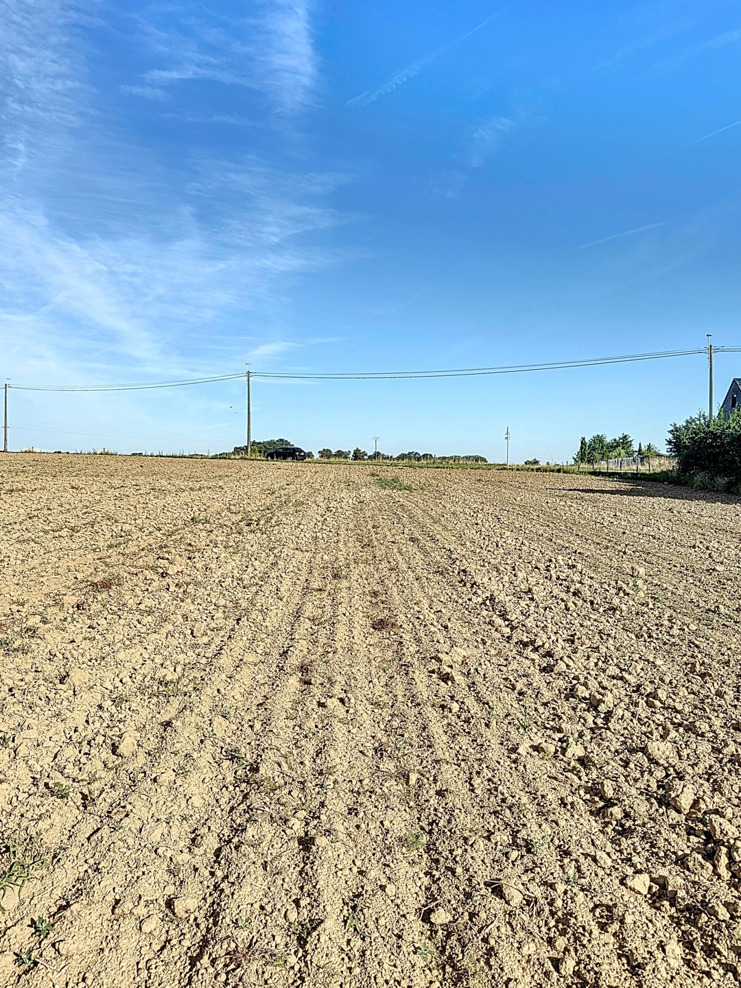 Picture 2 of 4 for Building ground in Burdinne Hannêche