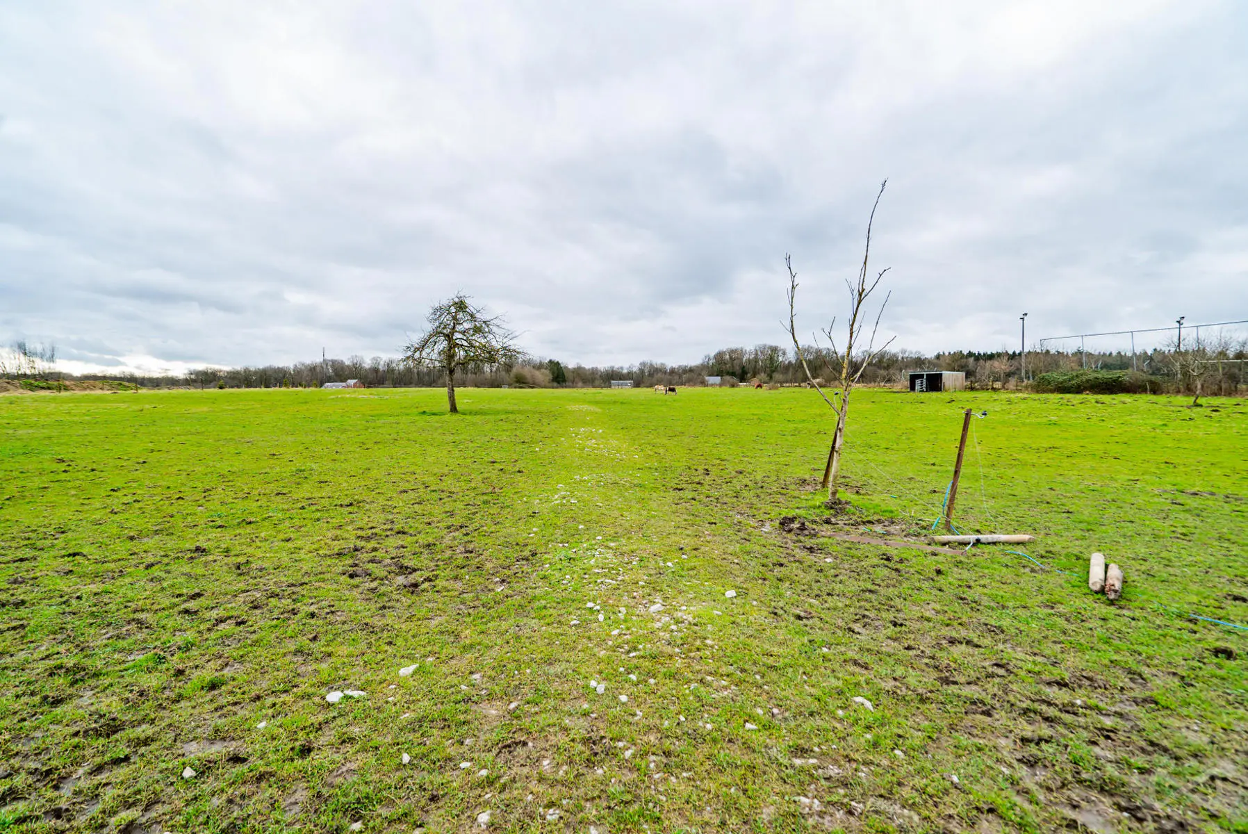 Picture 2 of 4 for Ground in Macquenoise