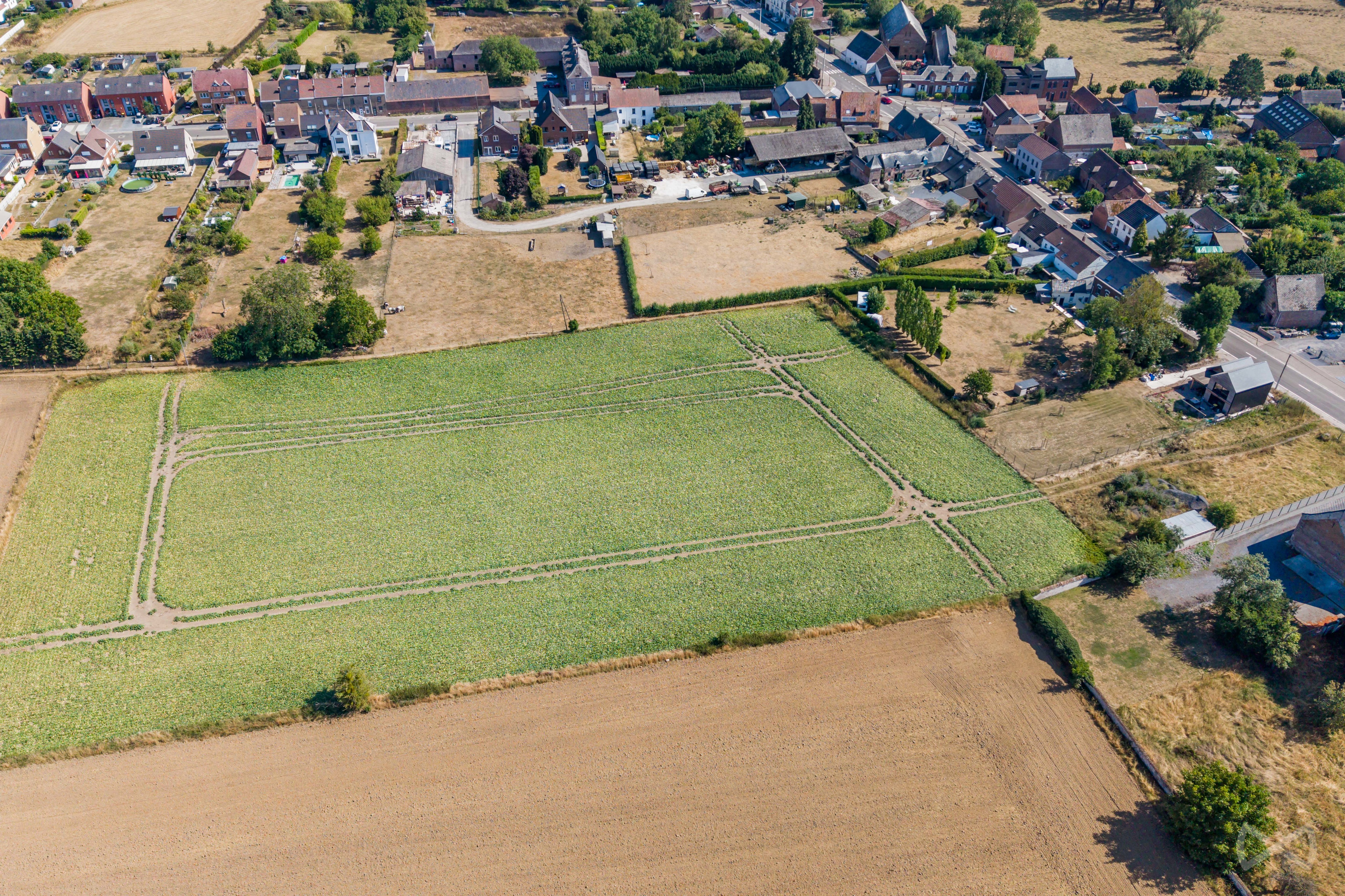 Picture 4 of 4 for Building ground in Harmignies
