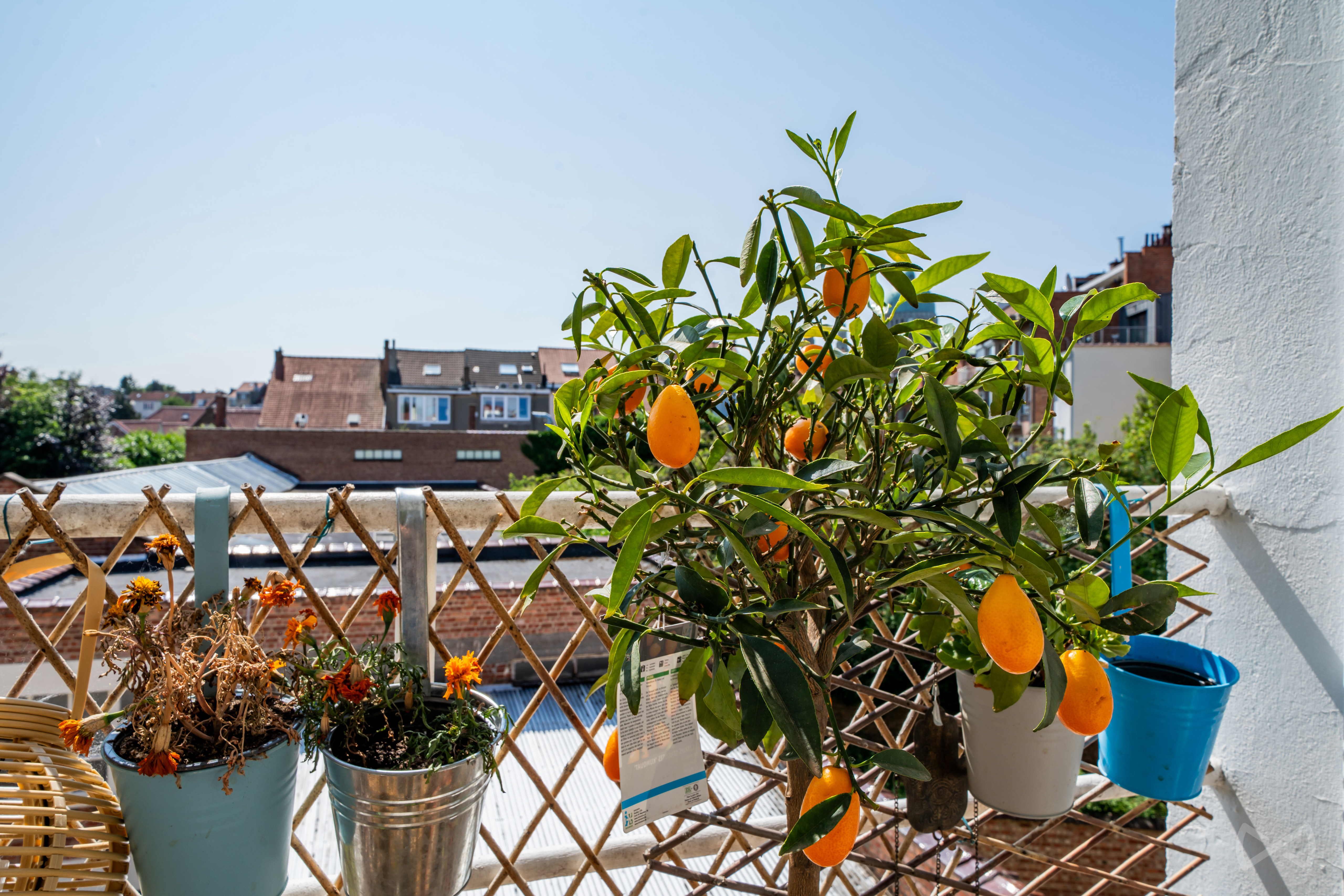 Photo 3 sur 4 pour Appartement de trois chambres à Ganshoren