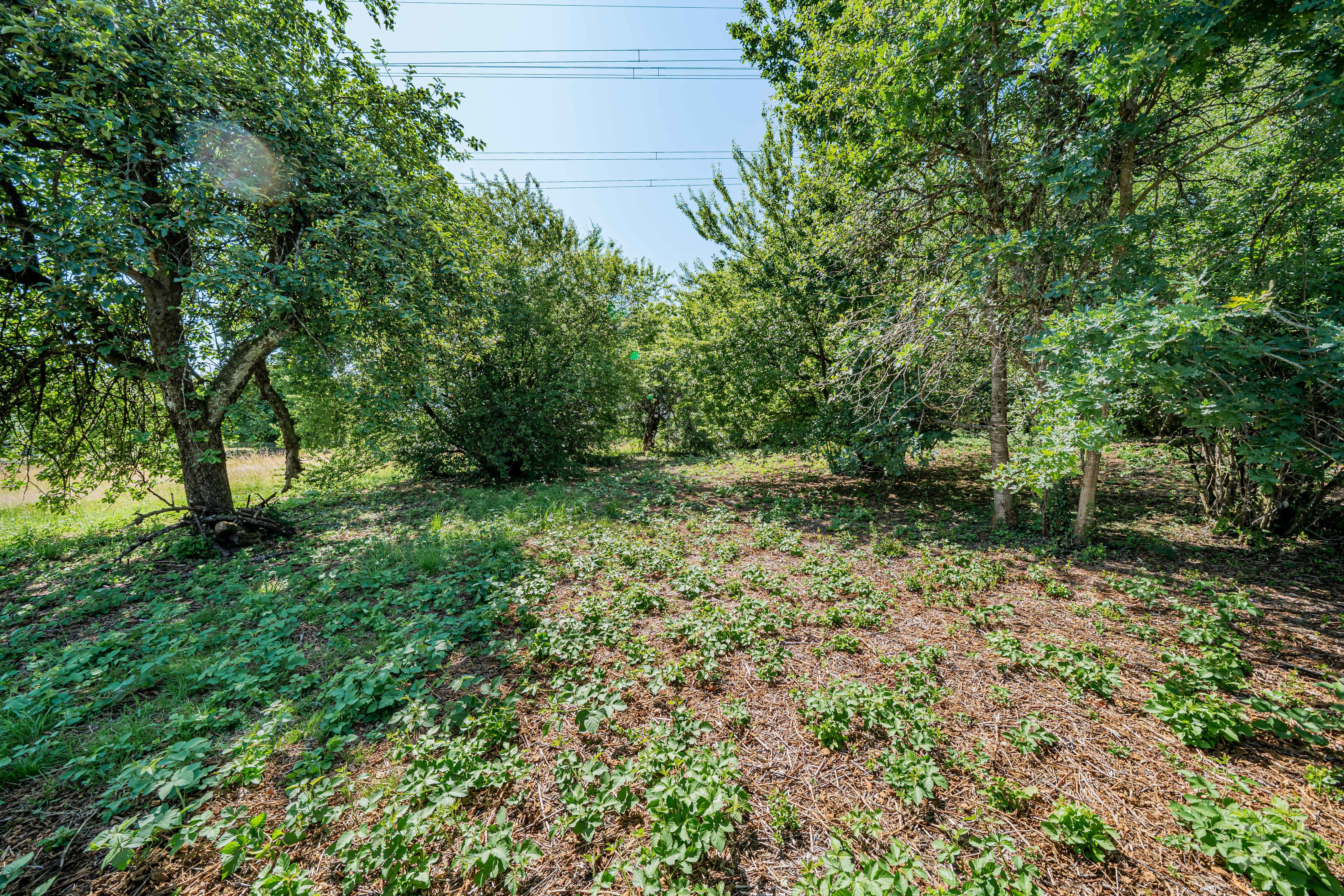 Picture 3 of 4 for House with three bedrooms in Arlon
