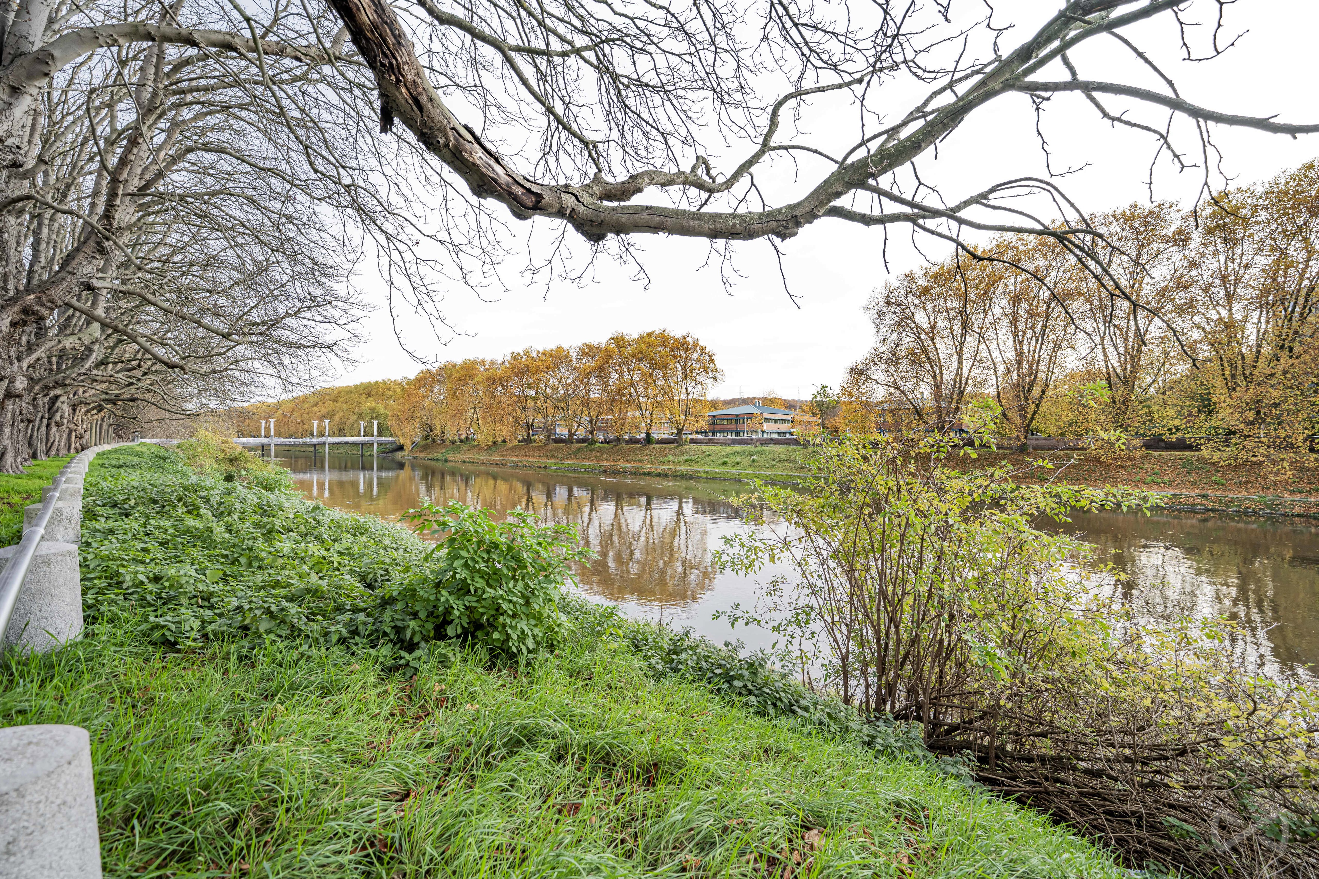 Picture 1 of 4 for Flat with one bedroom in Liège