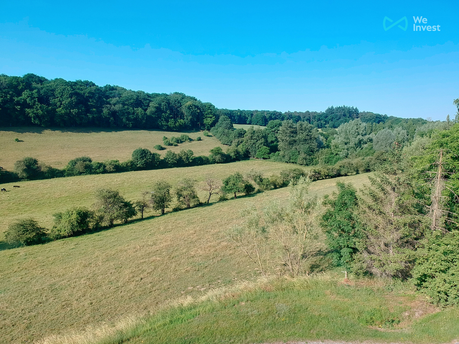 Photo 3 sur 4 pour Terrain à bâtir à Lompret