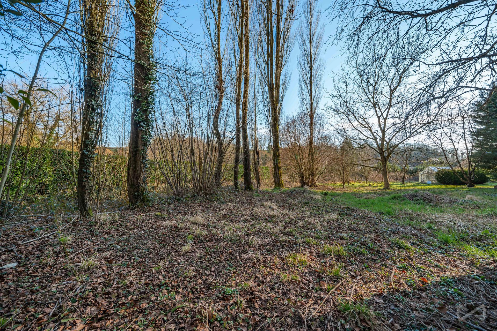 Picture 2 of 4 for Building ground in Barbençon