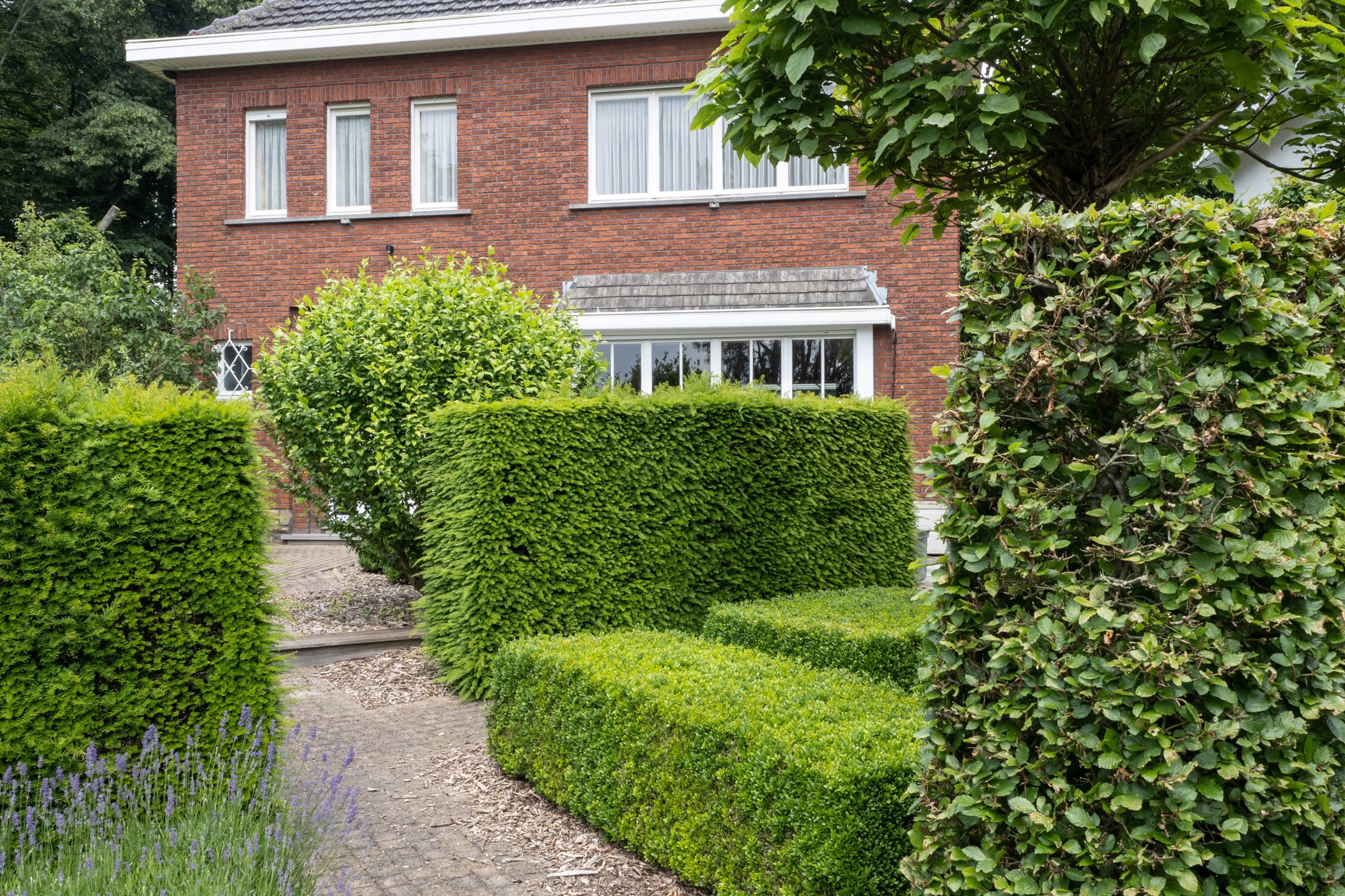 Picture 2 of 3 for House with four bedrooms in Mechelen