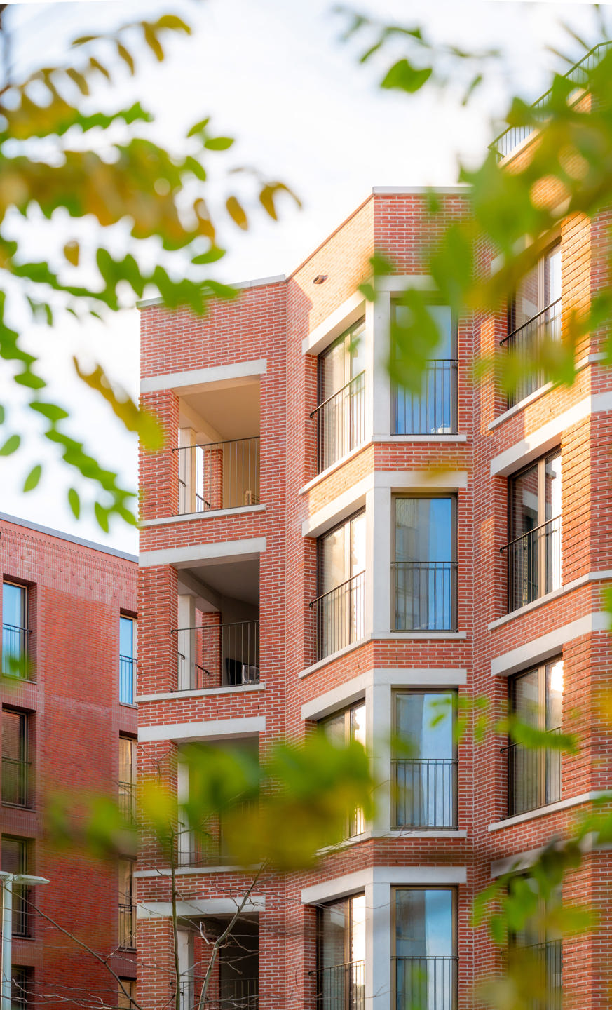 Picture of the project