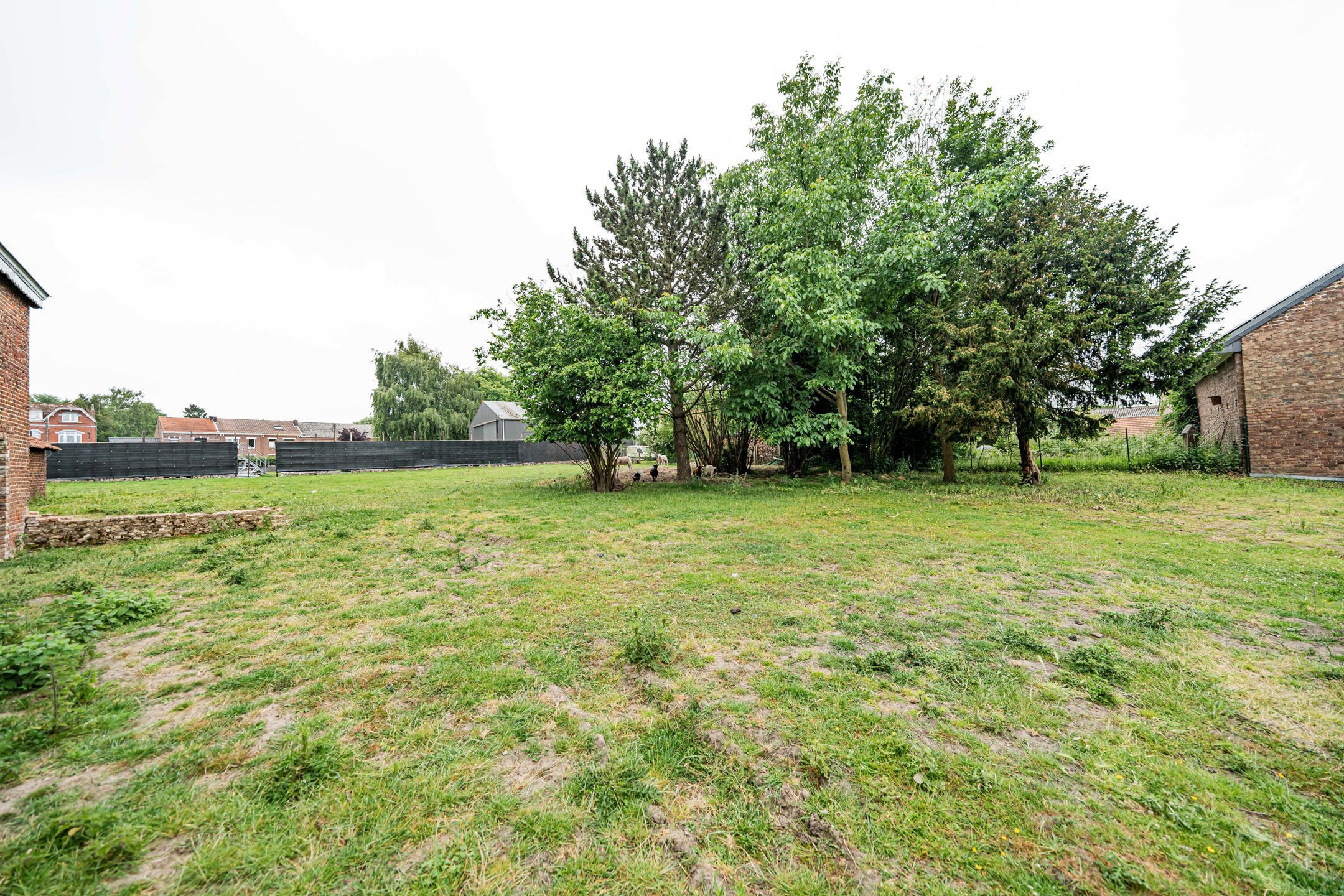 Picture 3 of 4 for Villa farmtype with three bedrooms in Berloz Rosoux-Crenwick