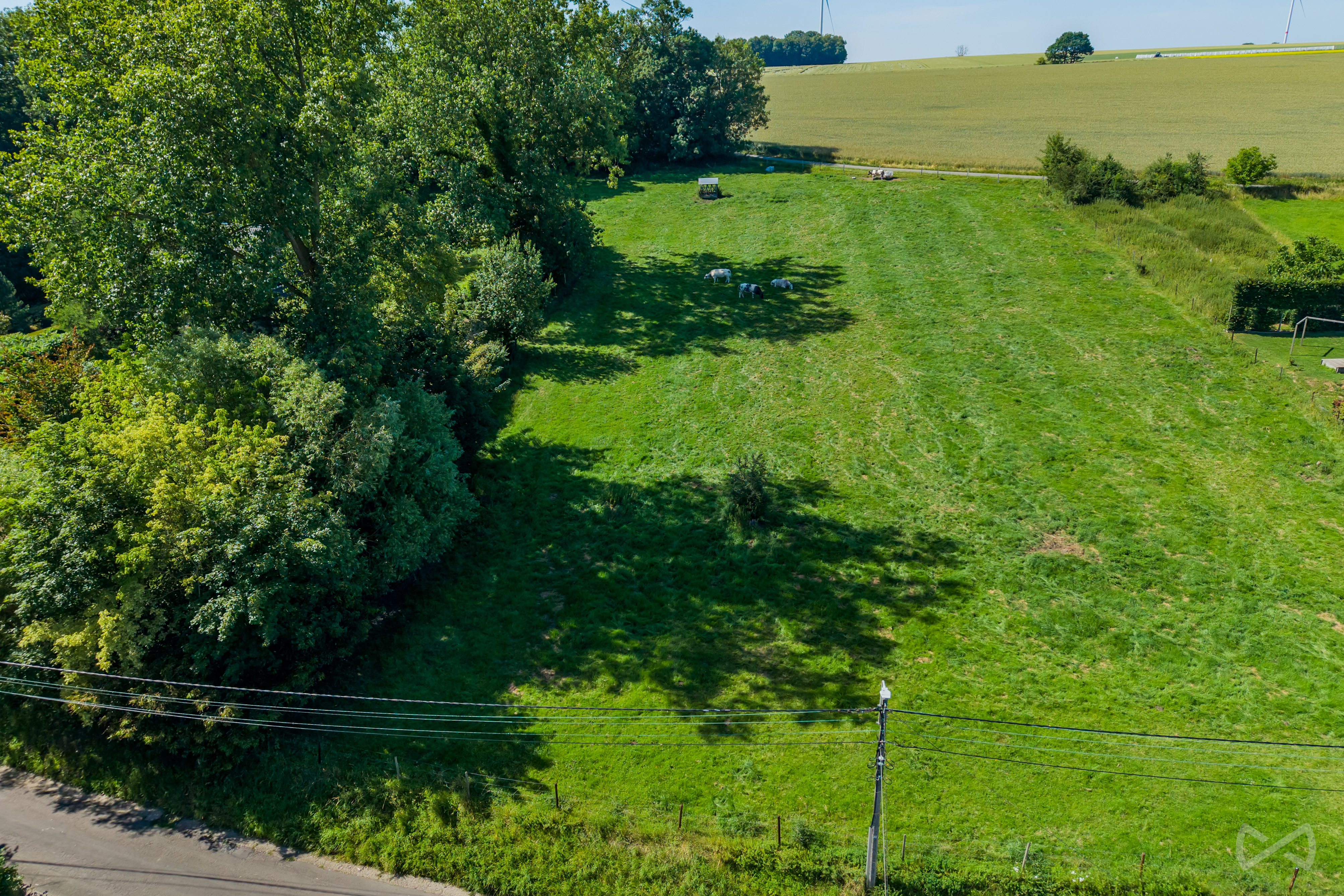 Foto van de woning