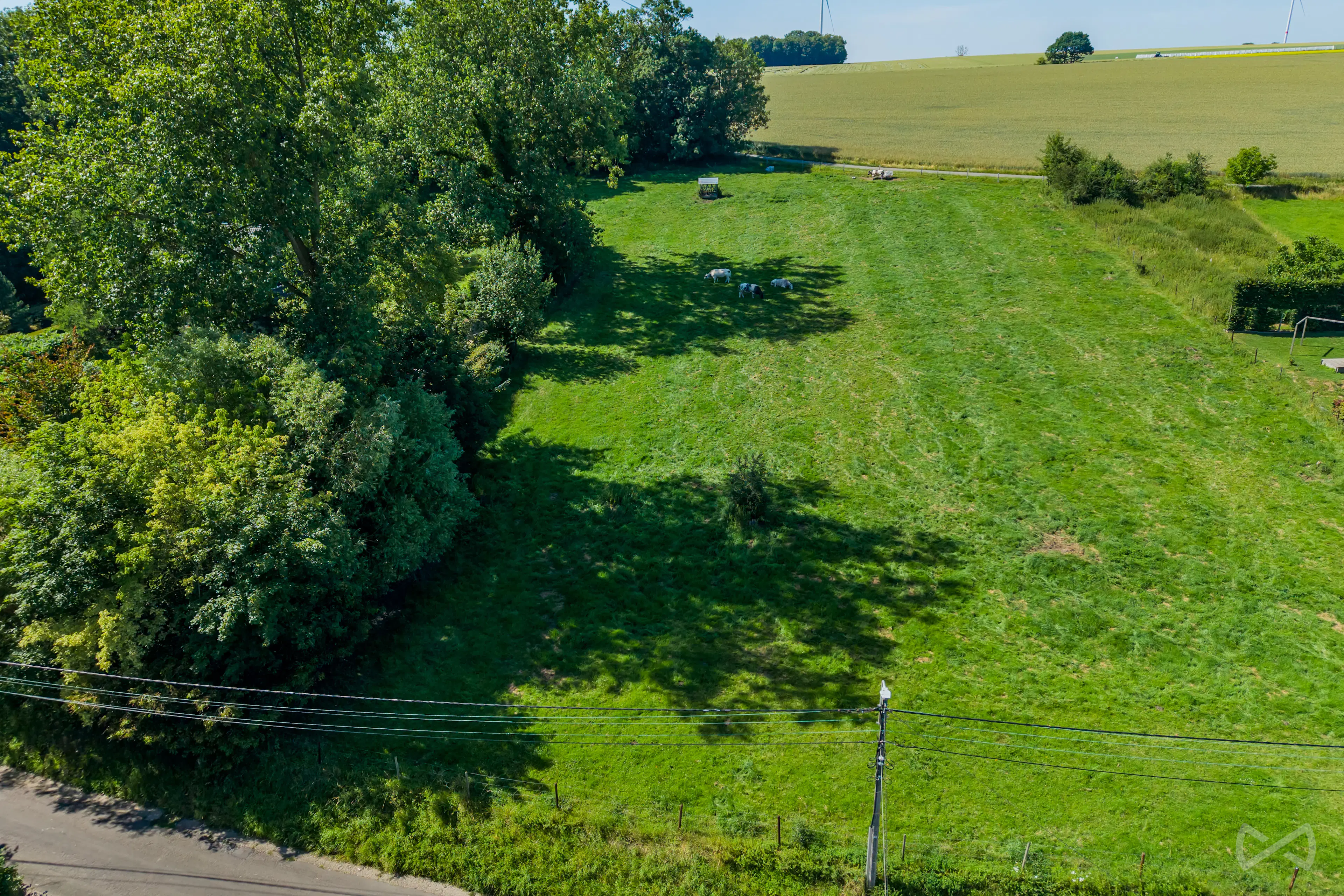 Foto van de woning