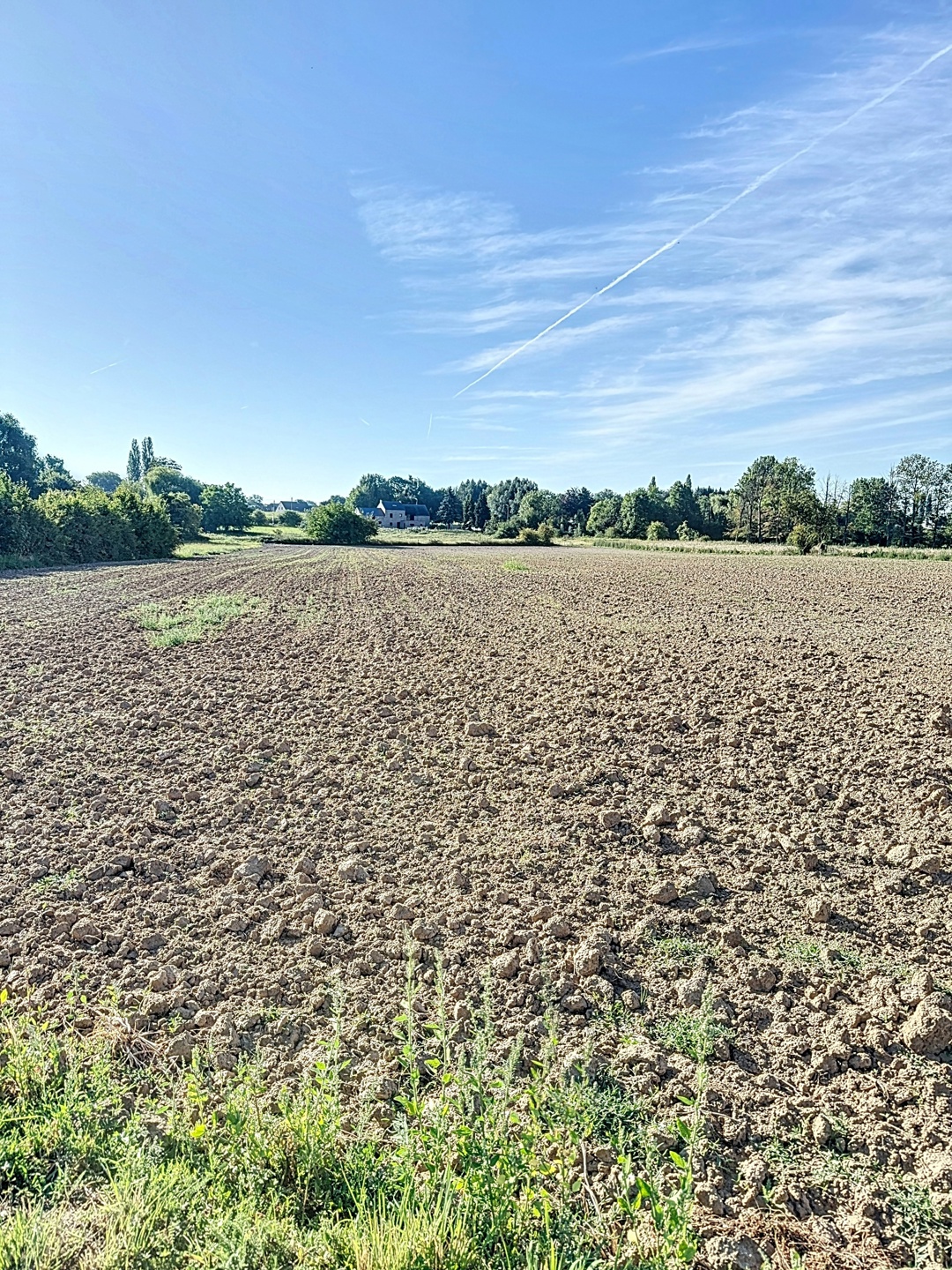 Picture 2 of 3 for Building ground in Burdinne Hannêche