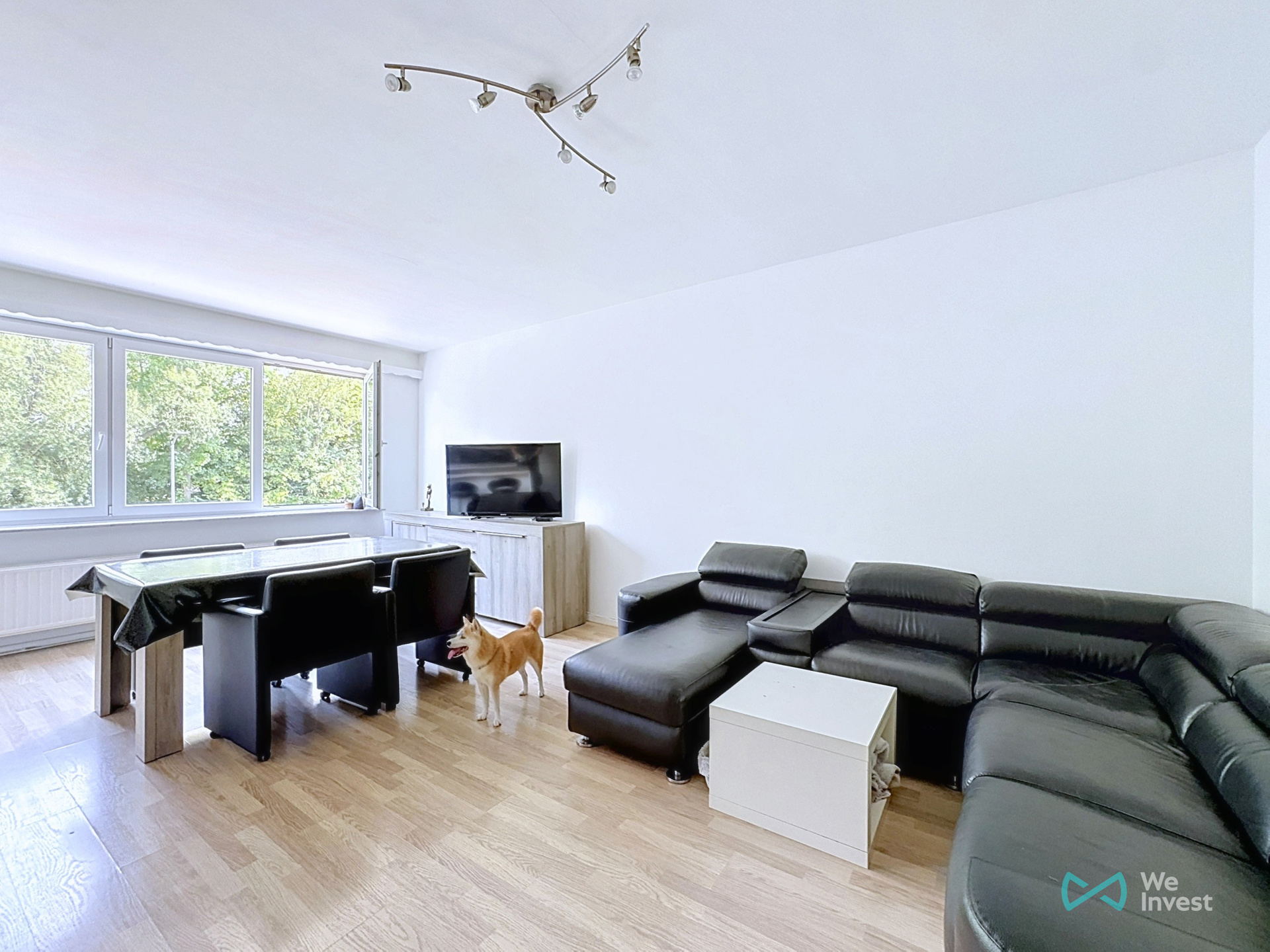 Foto van de woning