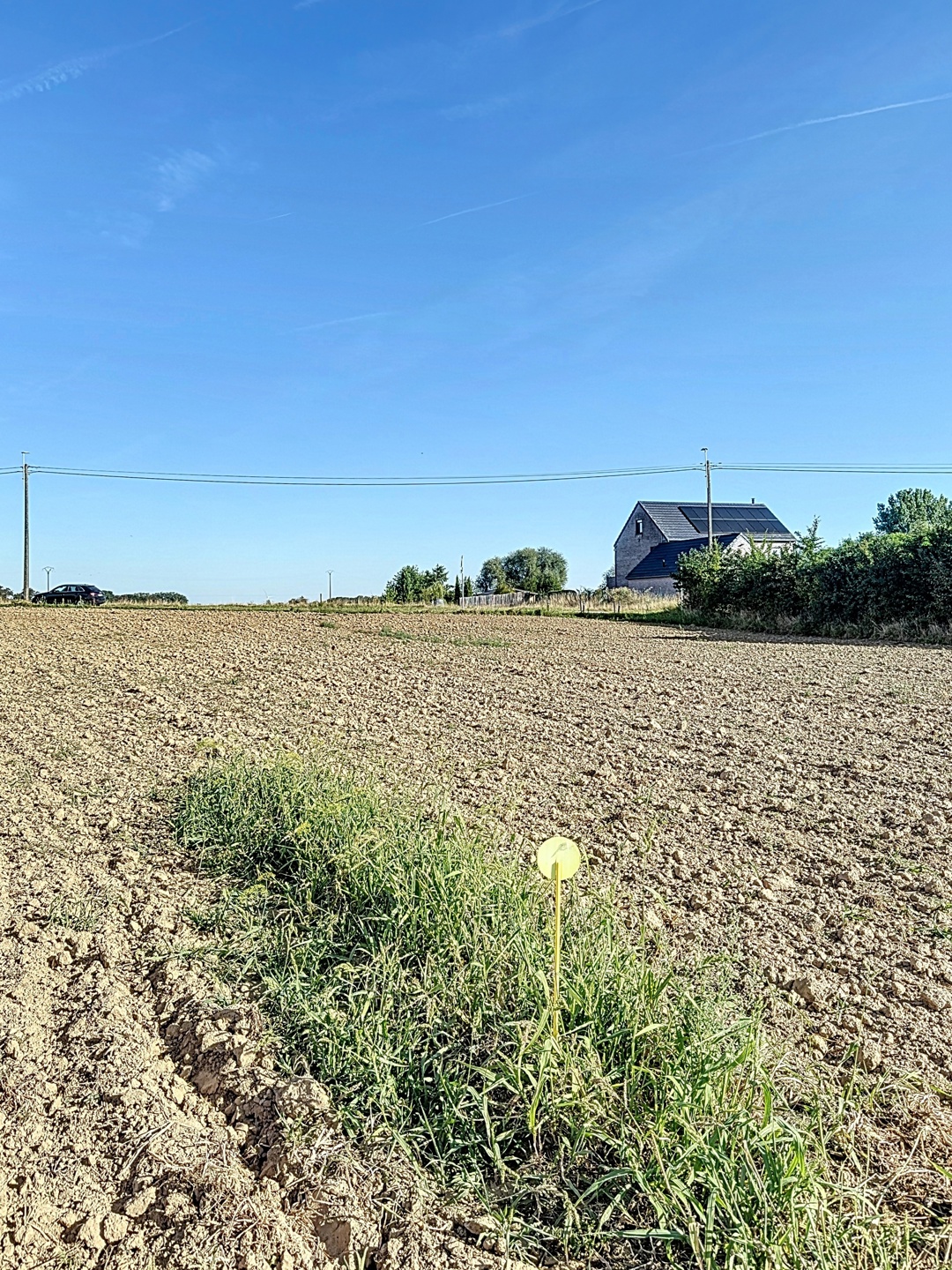 Picture 3 of 4 for Building ground in Burdinne Hannêche