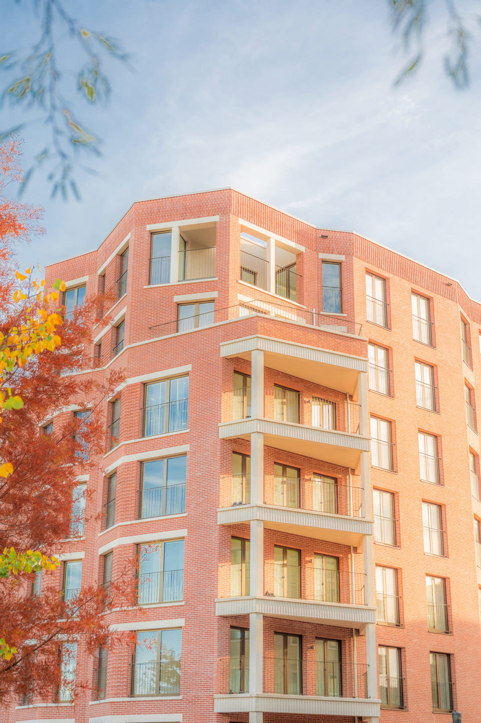 Picture of the project