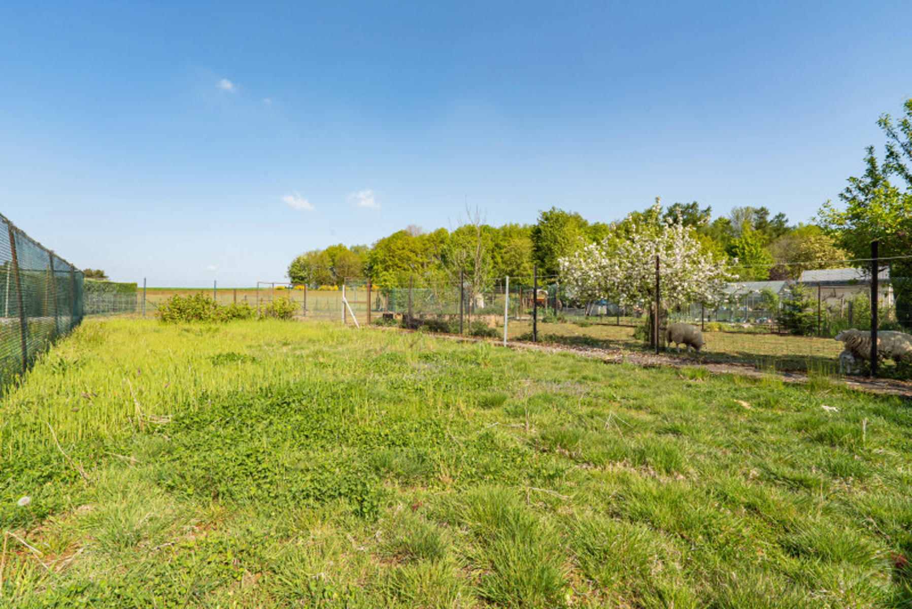 Picture 1 of 4 for House with four bedrooms in Tintigny