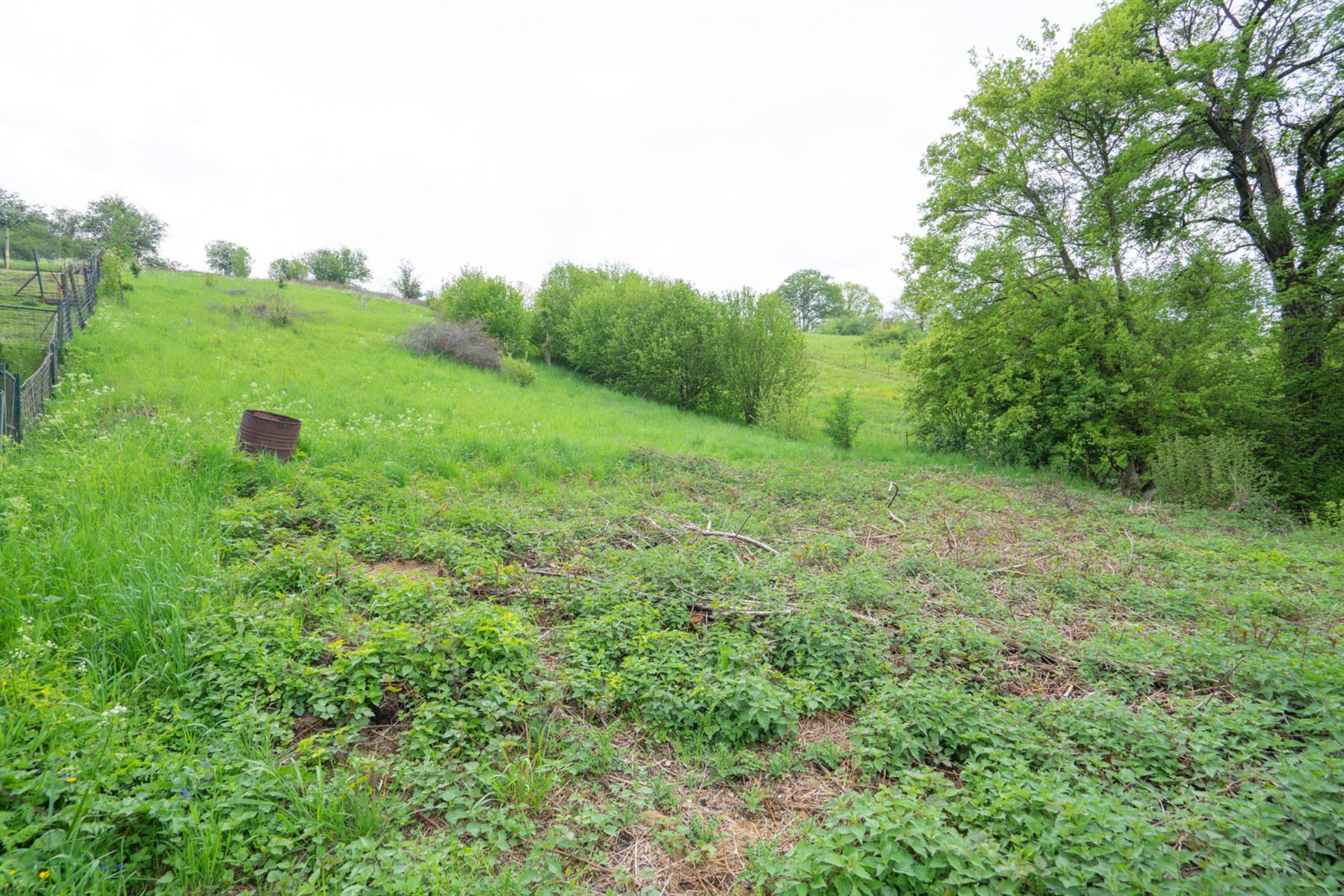 Picture 3 of 4 for Building ground in Silenrieux