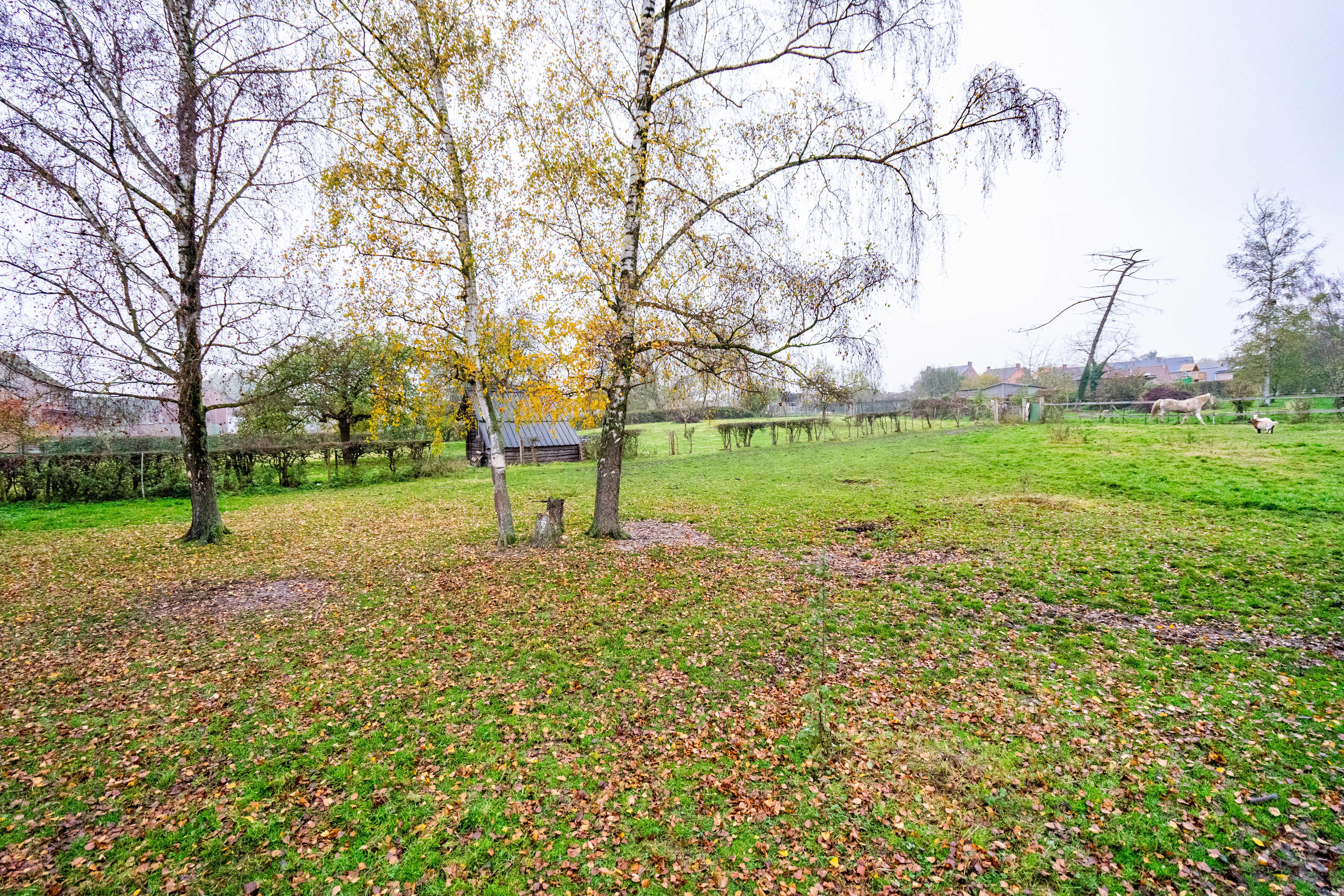 Picture 3 of 4 for Building ground in Burdinne