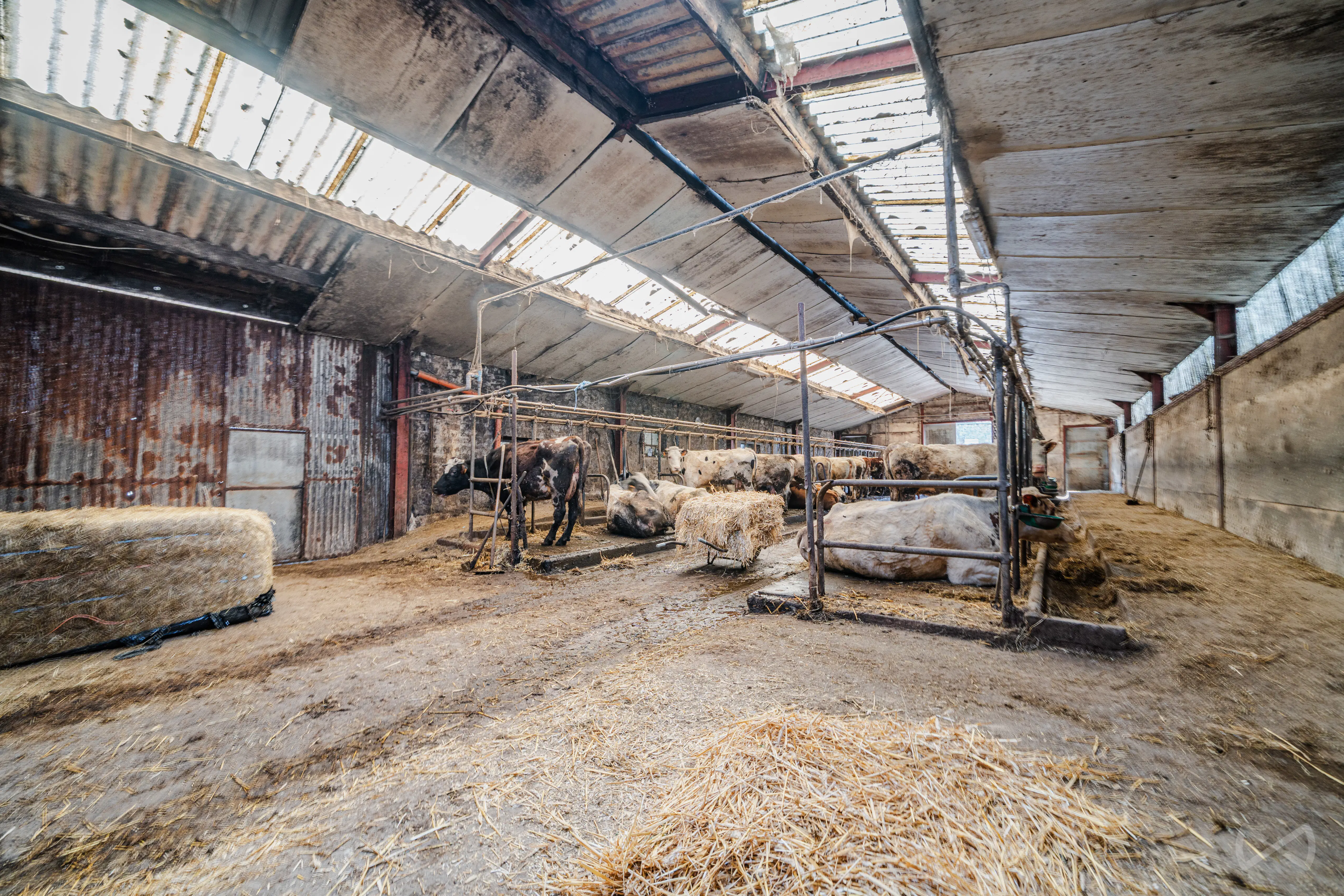 Picture 4 of 4 for Farm with one bedroom in Gonrieux