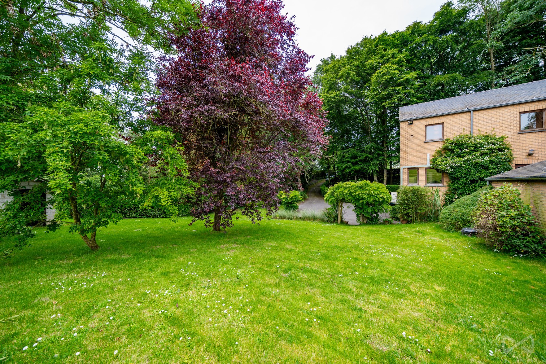 Picture 4 of 4 for House with four bedrooms in Barbençon