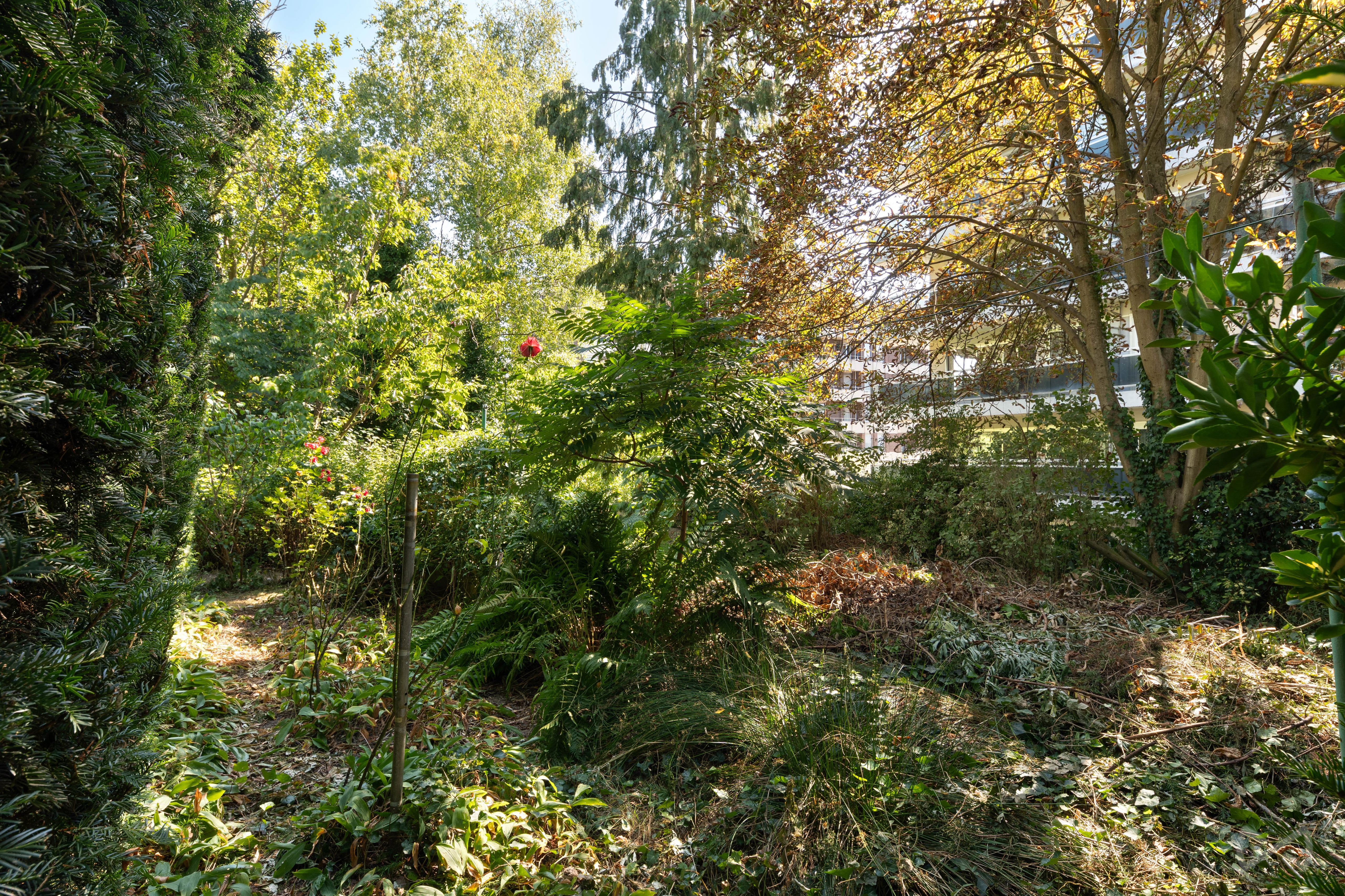 Picture 1 of 4 for House with three bedrooms in Leuven