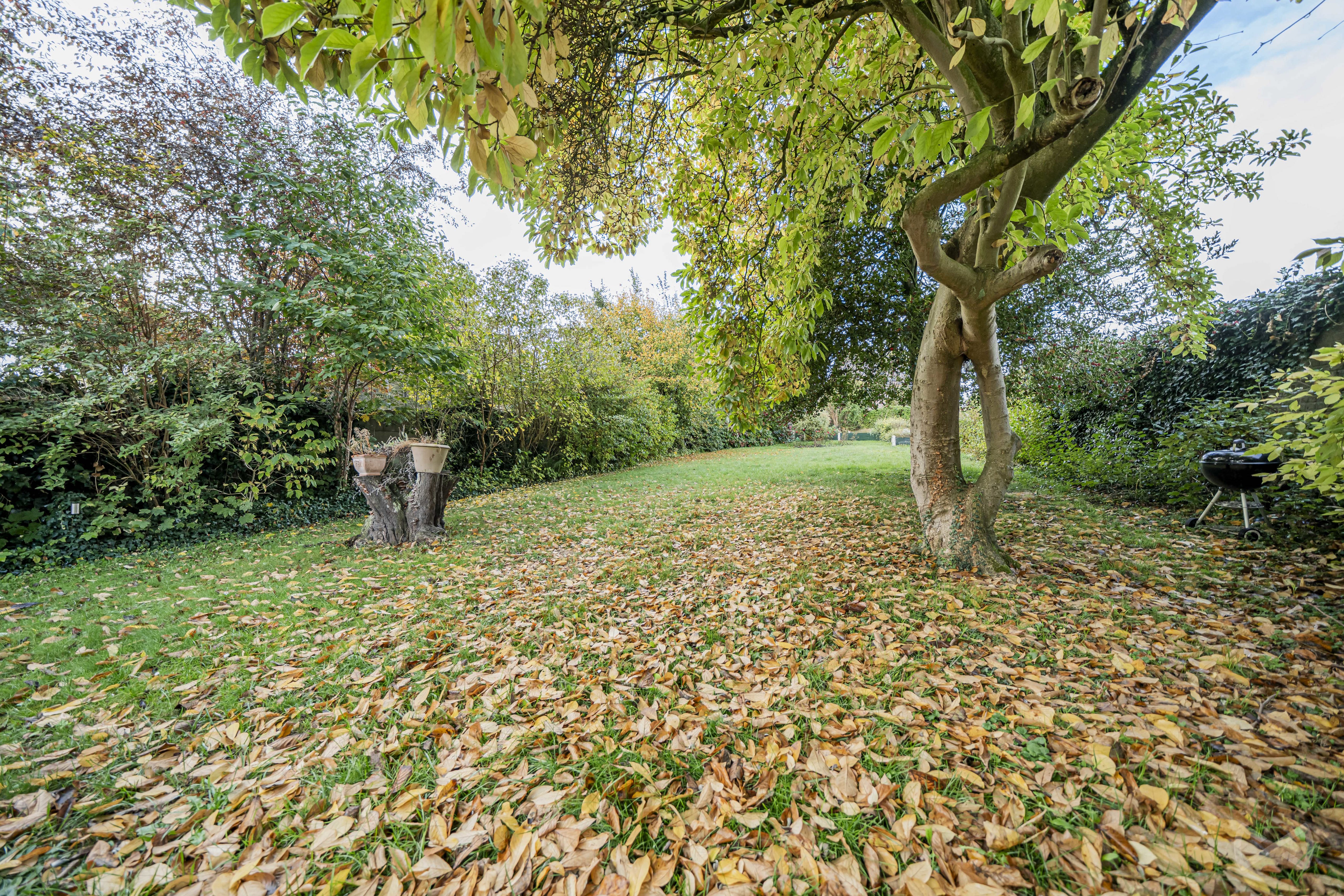 Photo 2 sur 4 pour Maison de six chambres à Jodoigne