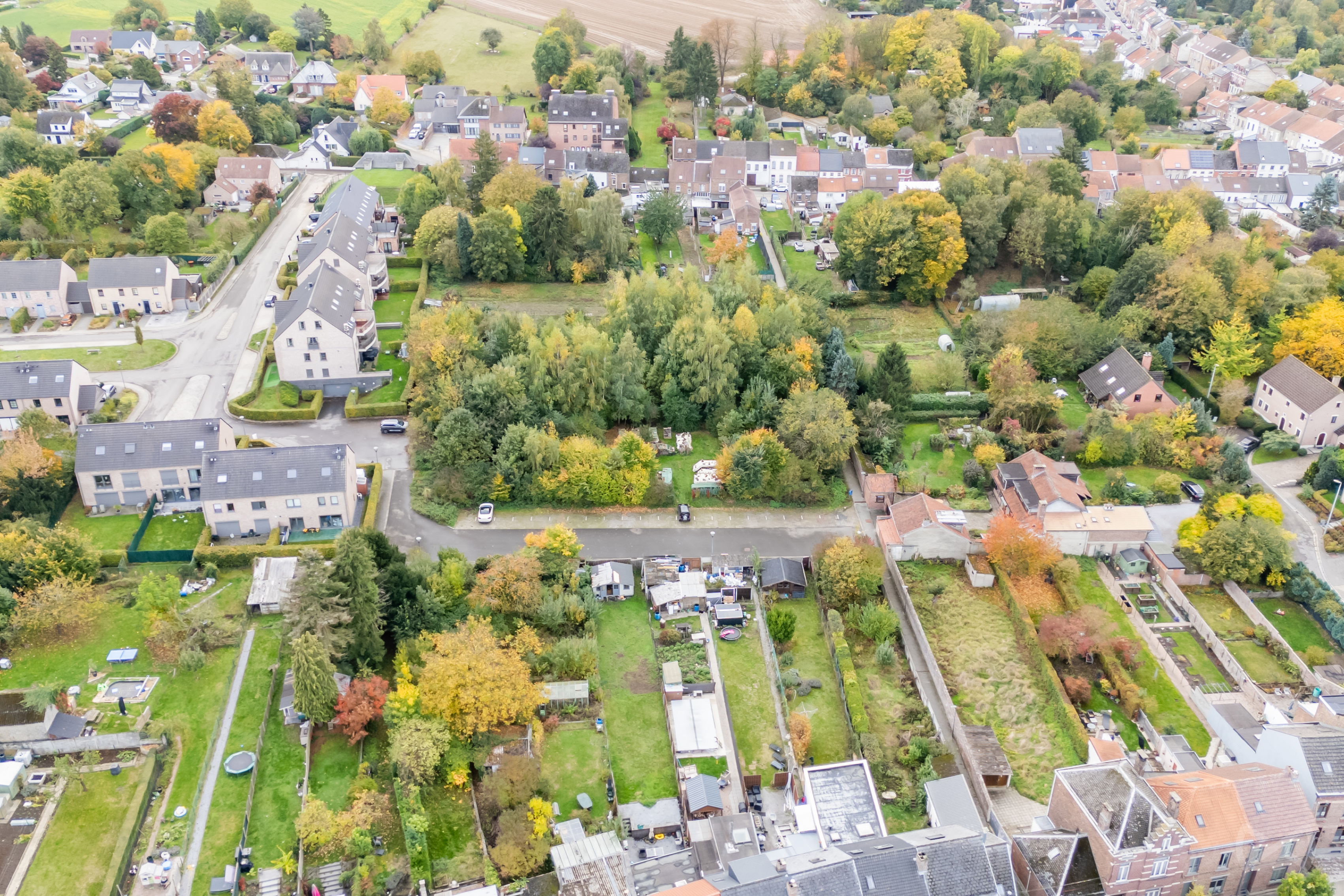 Photo 3 sur 4 pour Terrain à Jodoigne