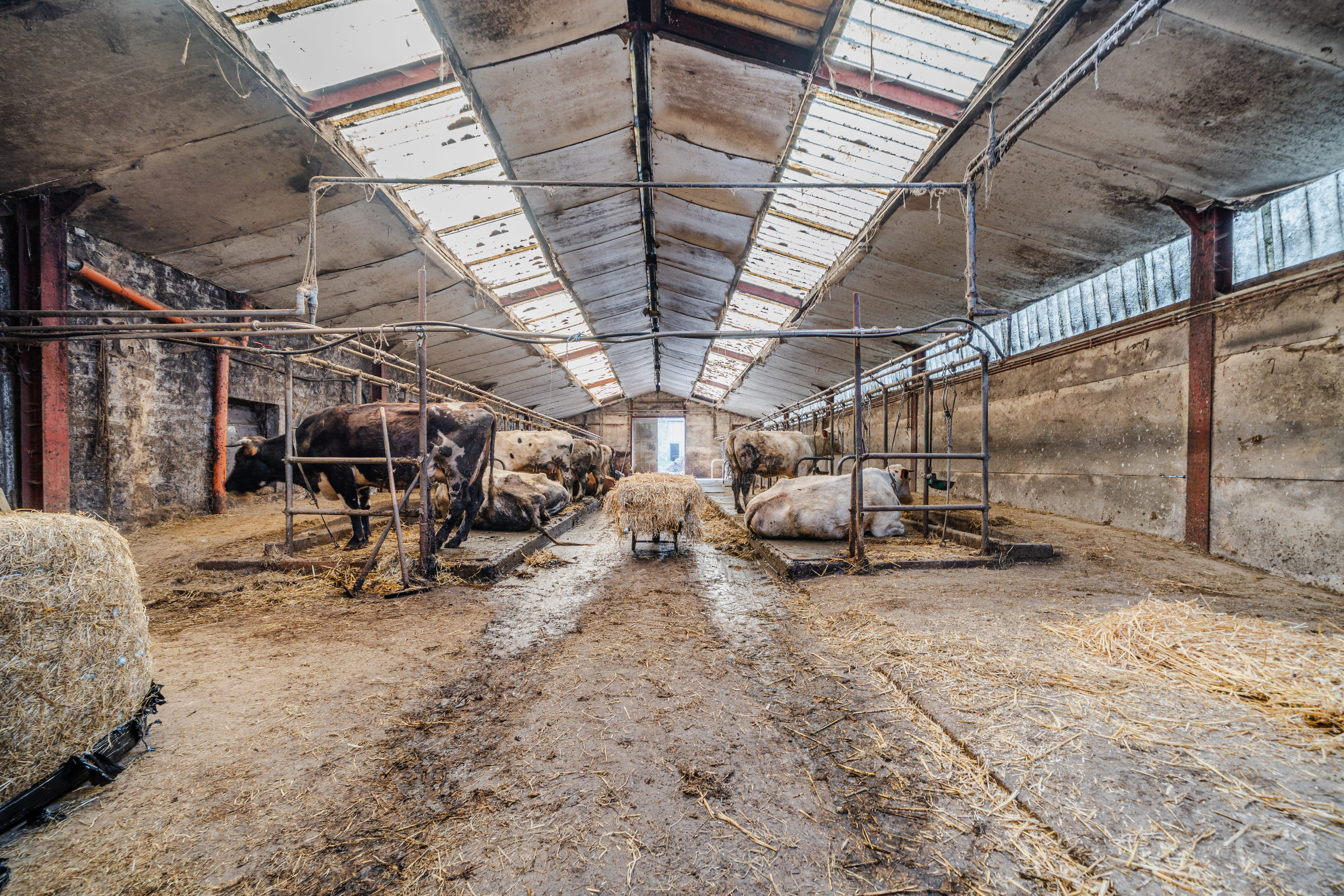 Picture 1 of 4 for Farm in Gonrieux