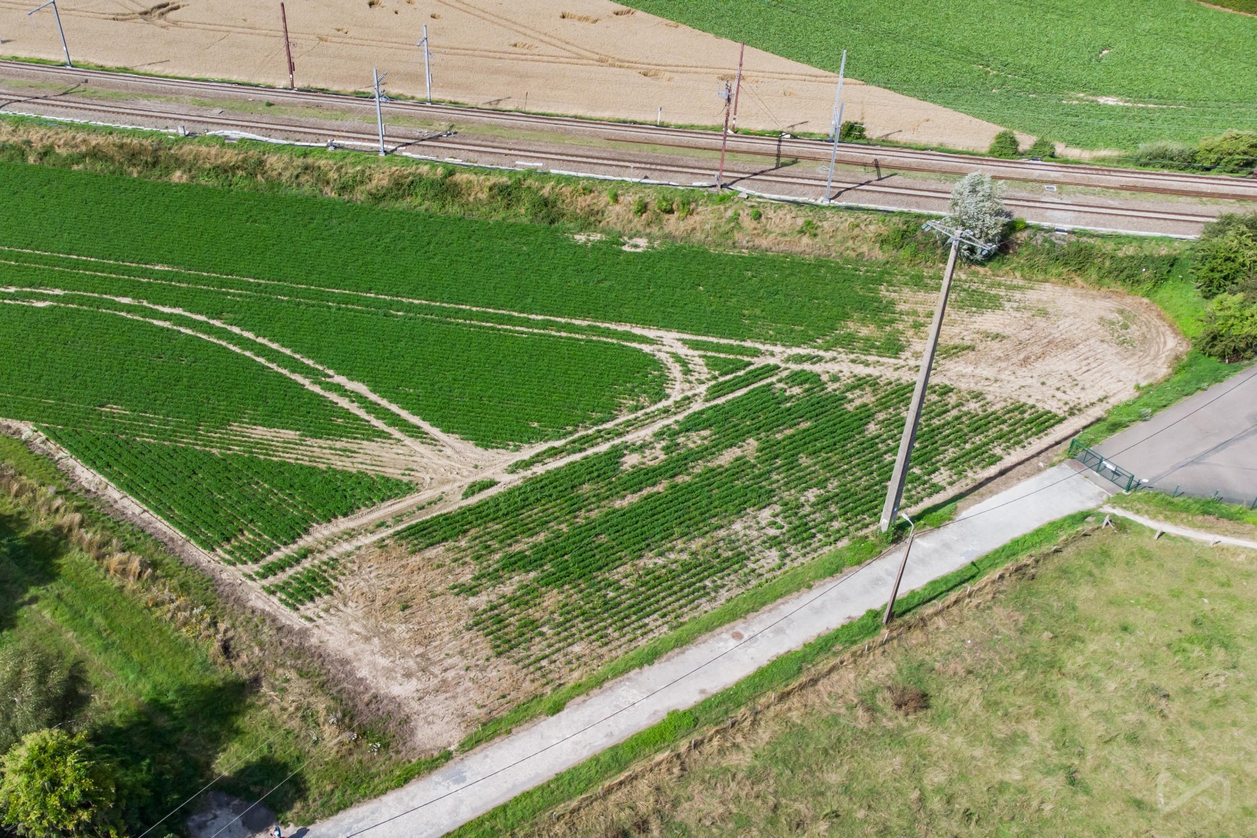 Picture 2 of 4 for Building ground in Waremme