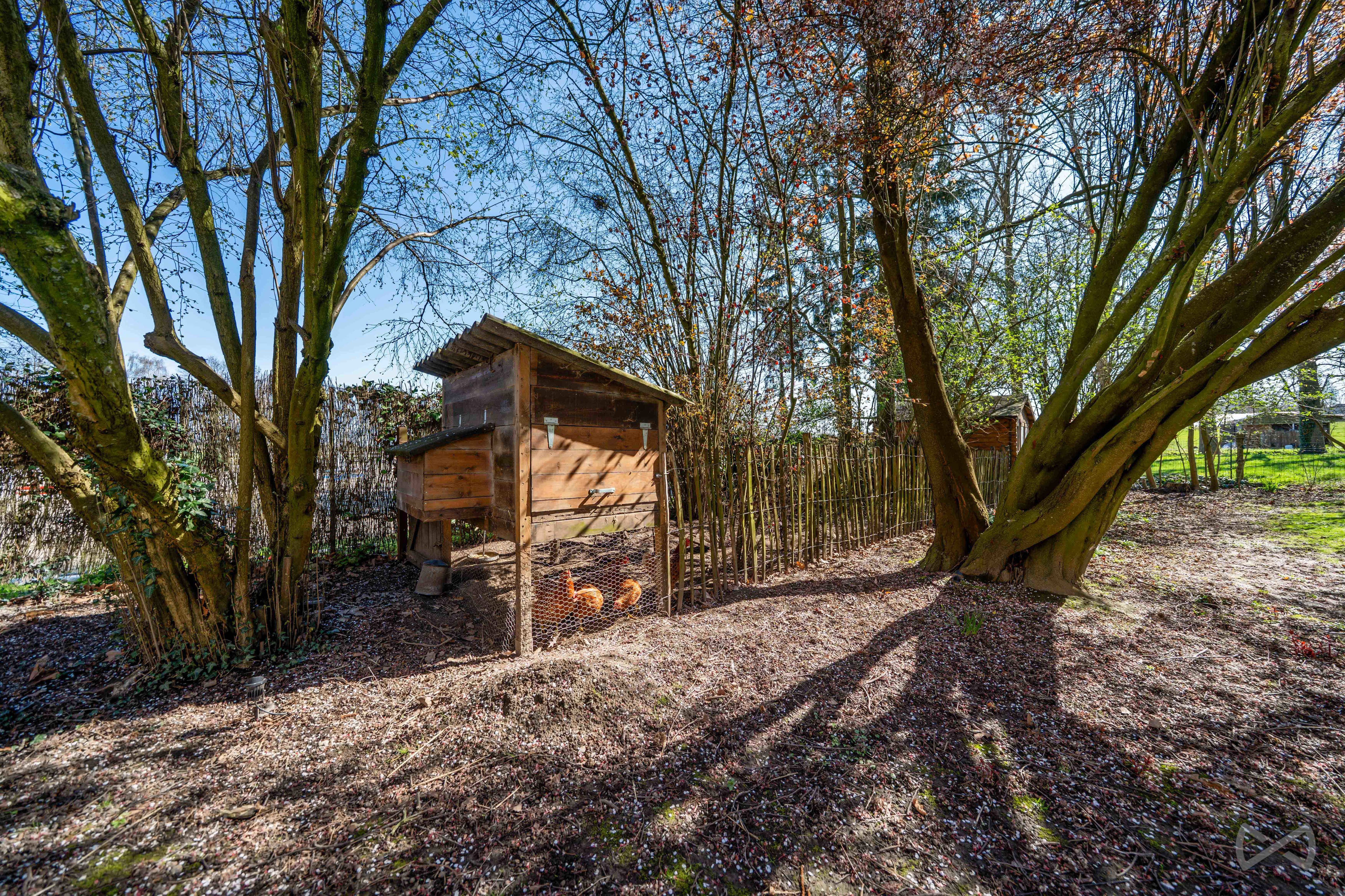 Photo 1 sur 4 pour Villa de sept chambres à Faimes