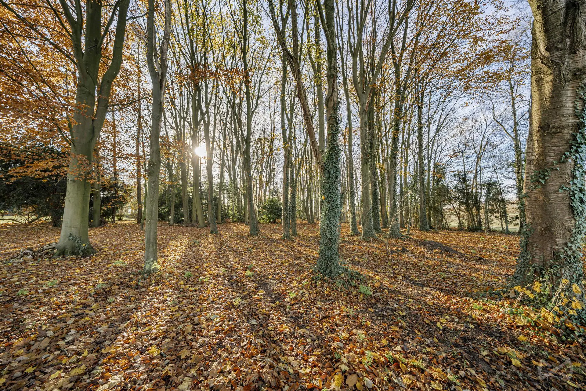 Picture 2 of 4 for House with 20 bedrooms in QuÉvy