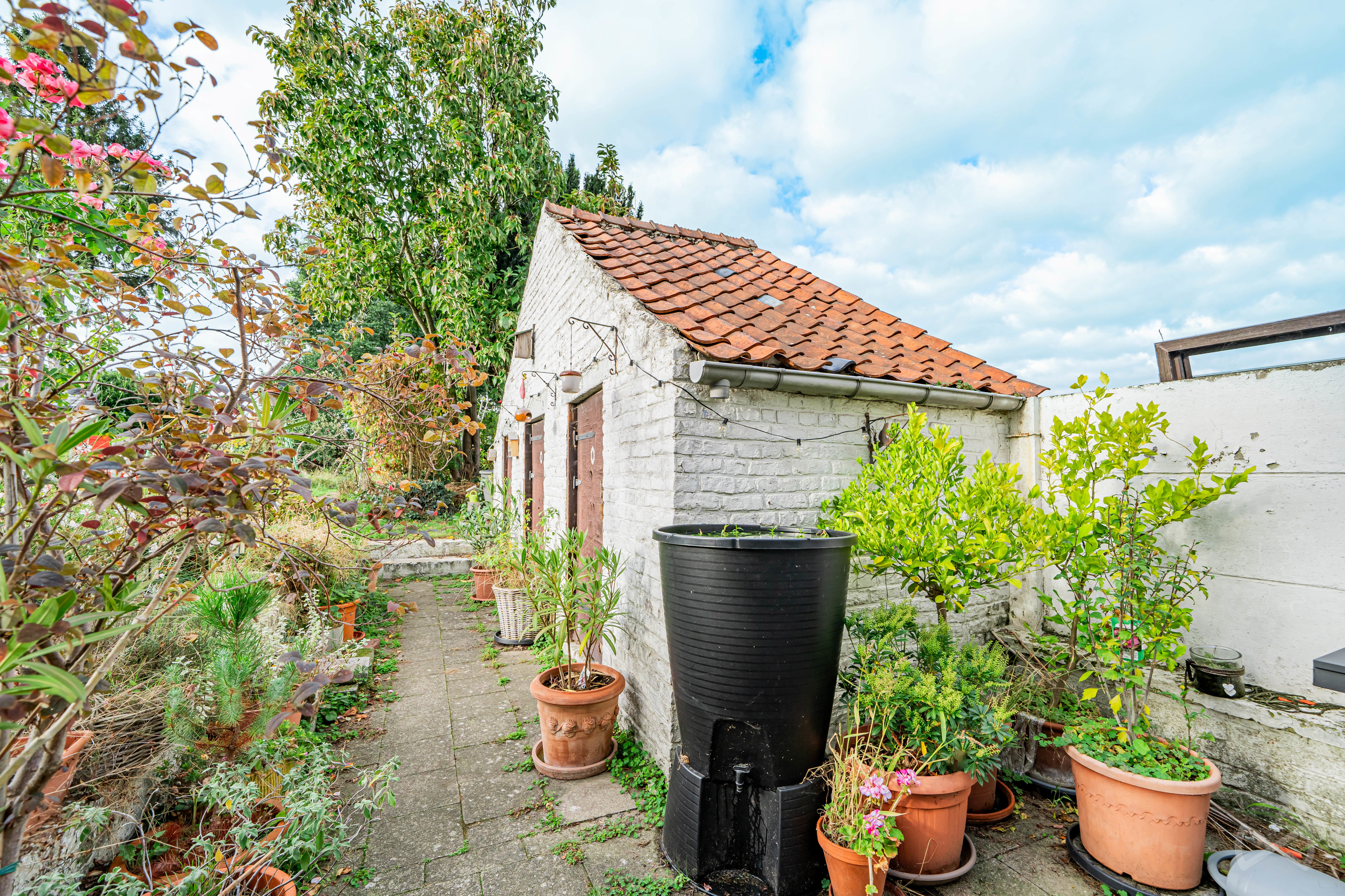Picture 4 of 4 for House with two bedrooms in Trazegnies