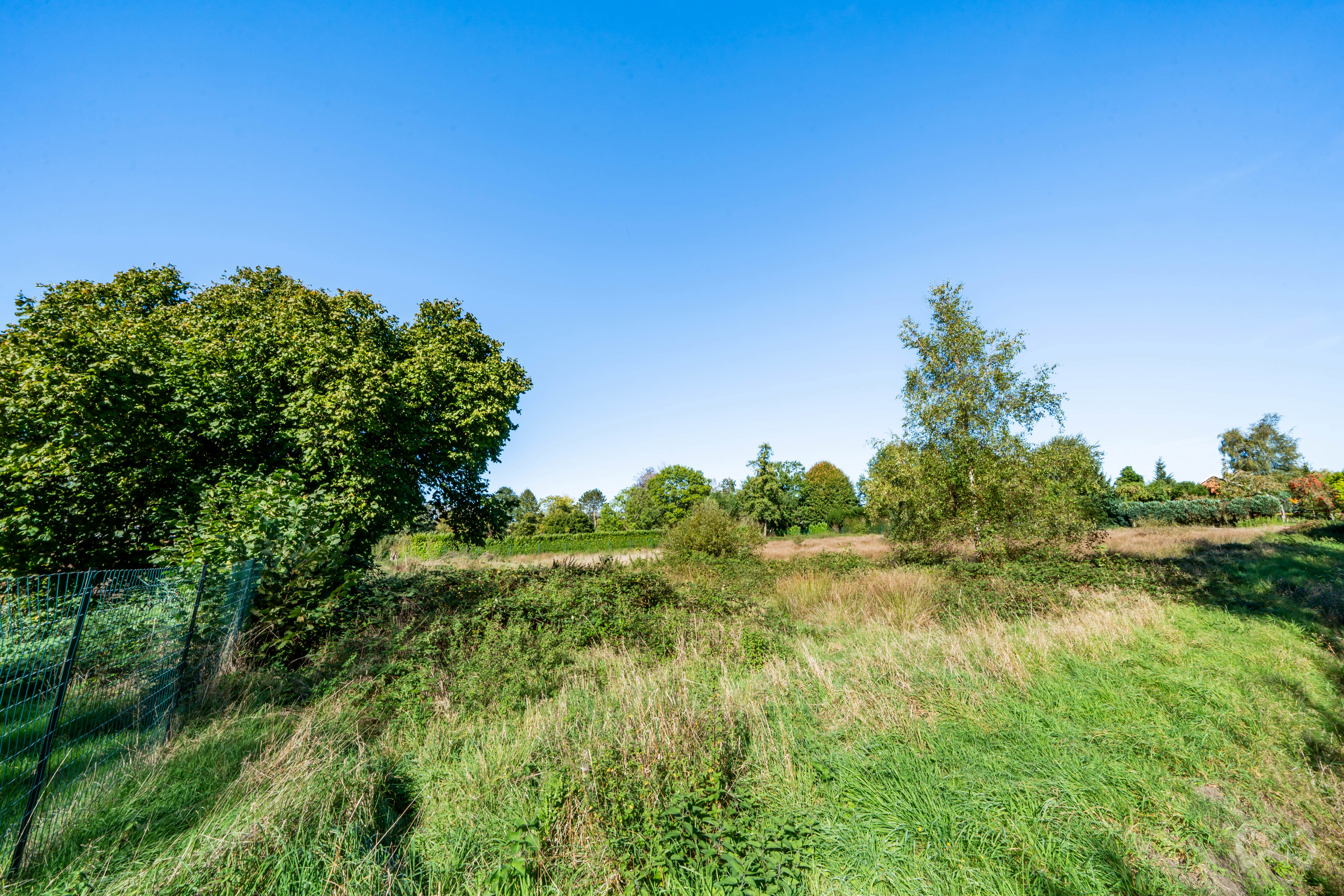 Foto van de woning