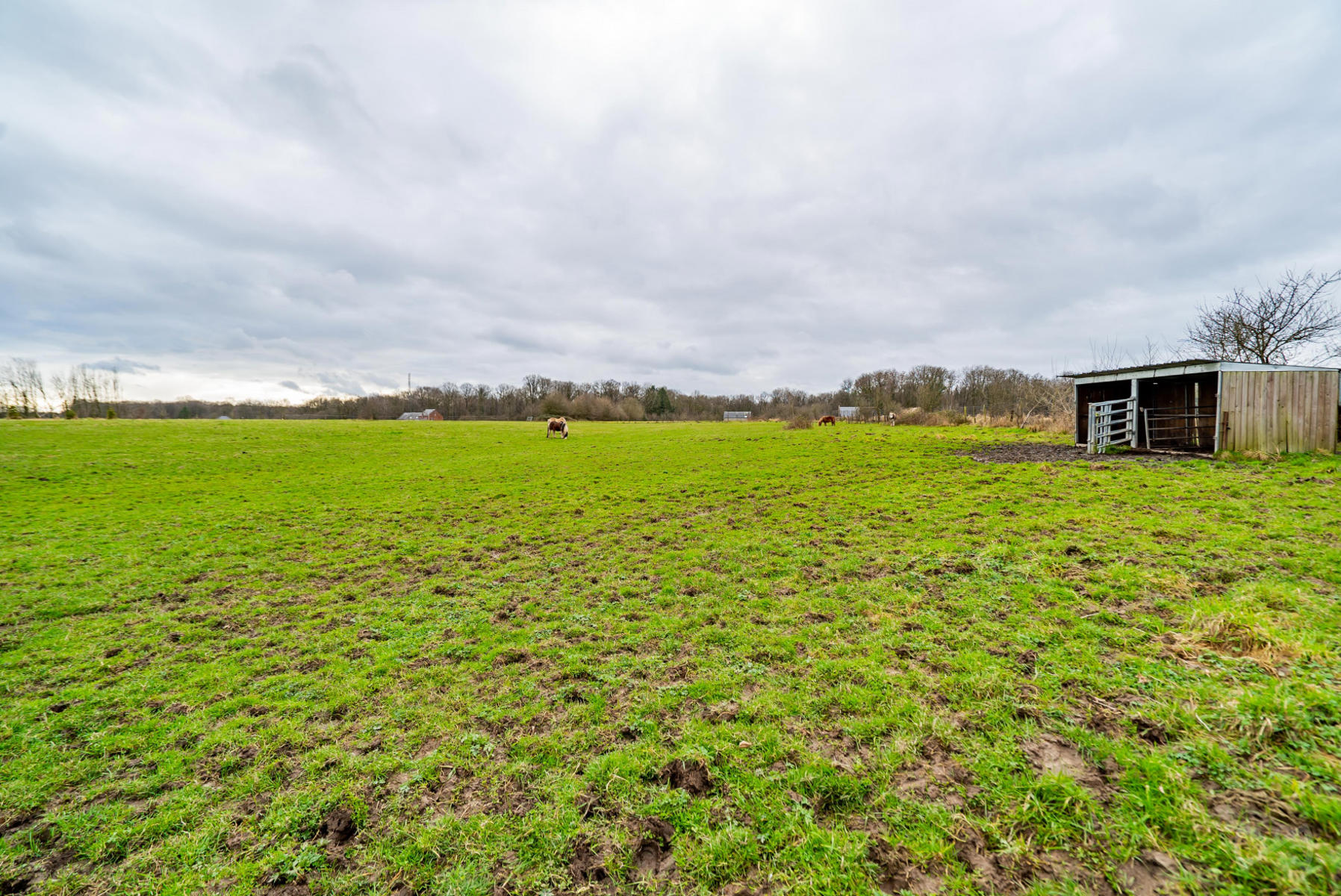 Picture 3 of 4 for Ground in Macquenoise
