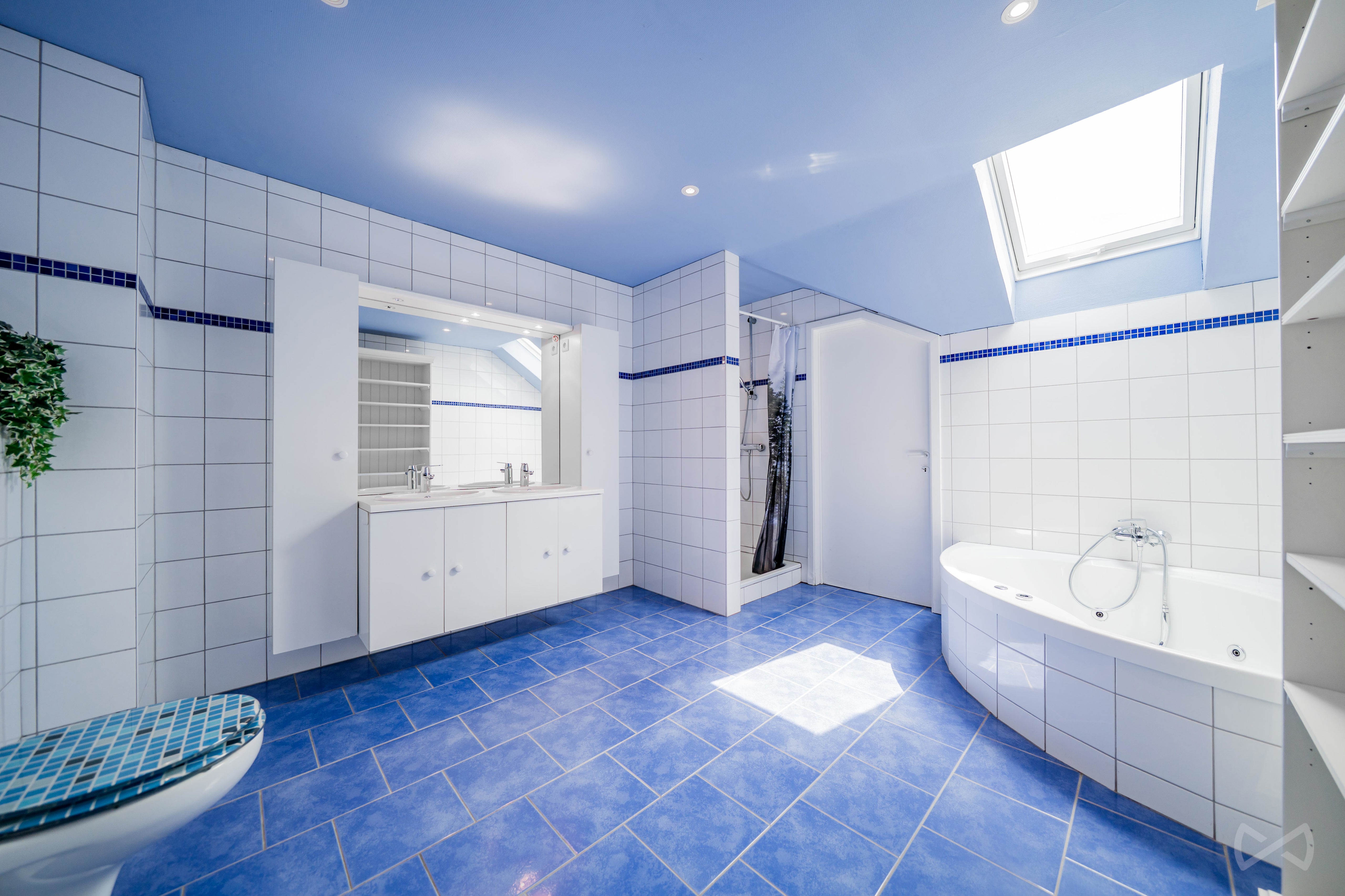 Picture 4 of 4 for House with seven bedrooms in Francorchamps