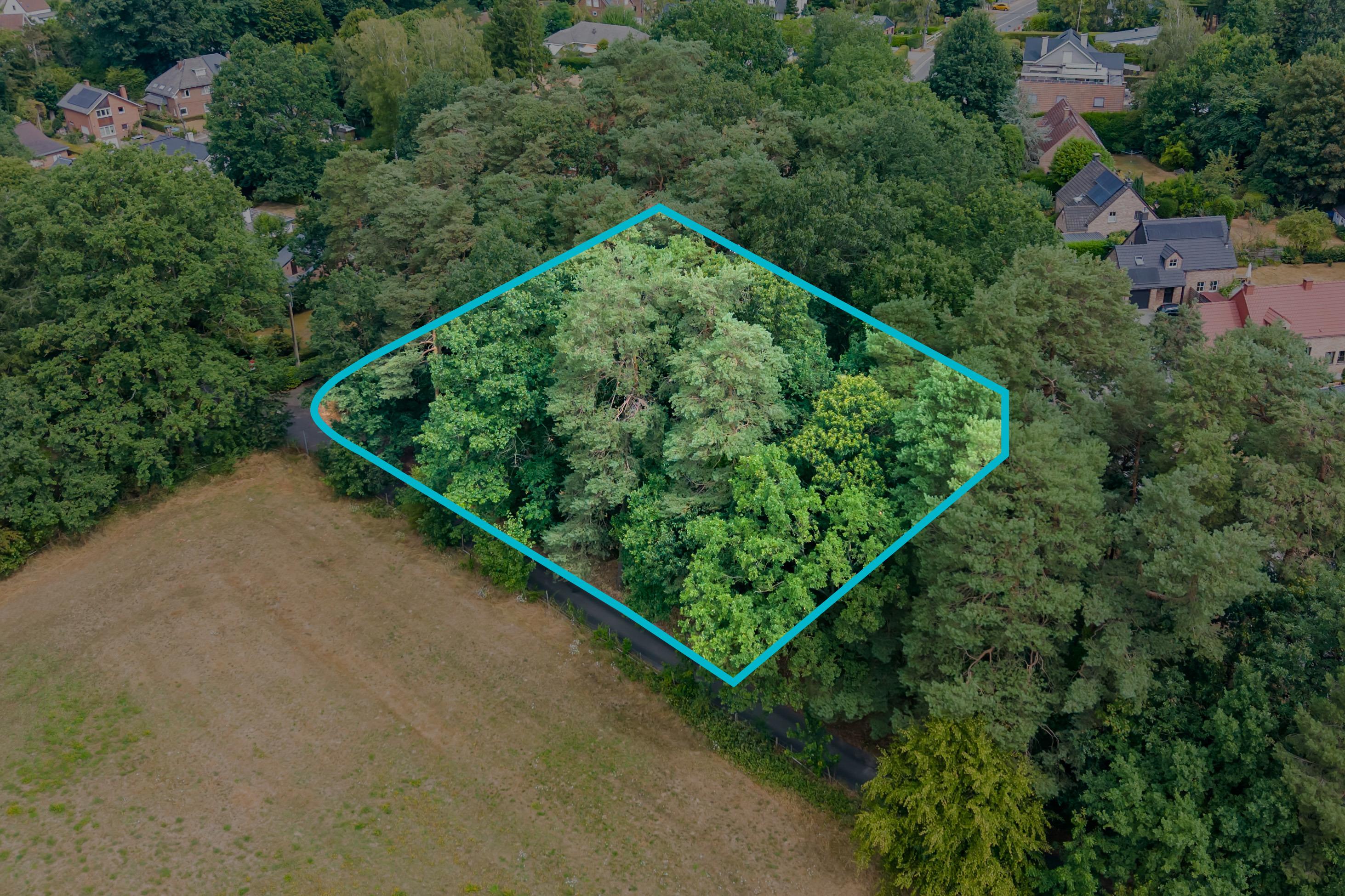 Foto van de woning