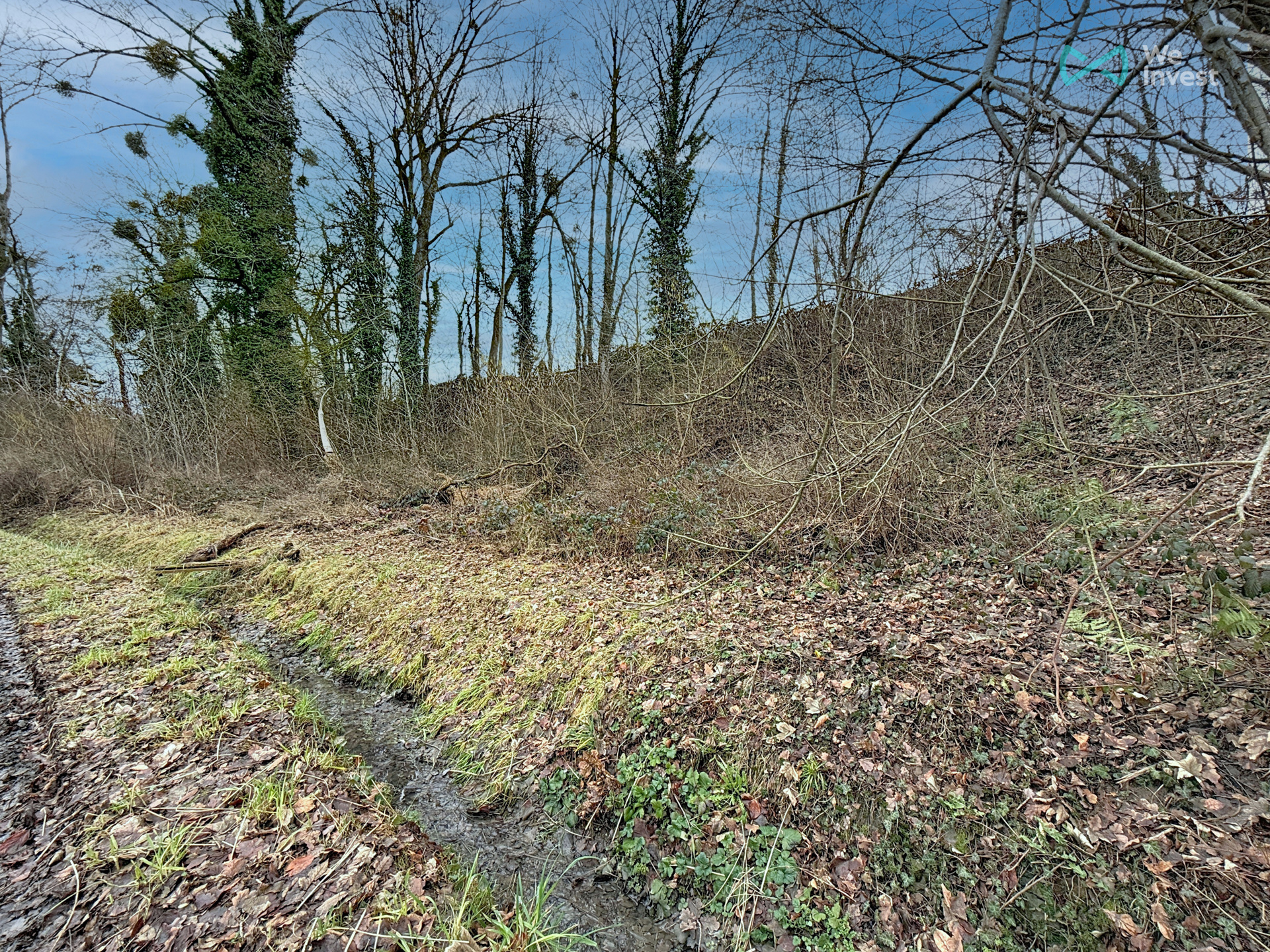 Picture 3 of 4 for Building ground in Incourt