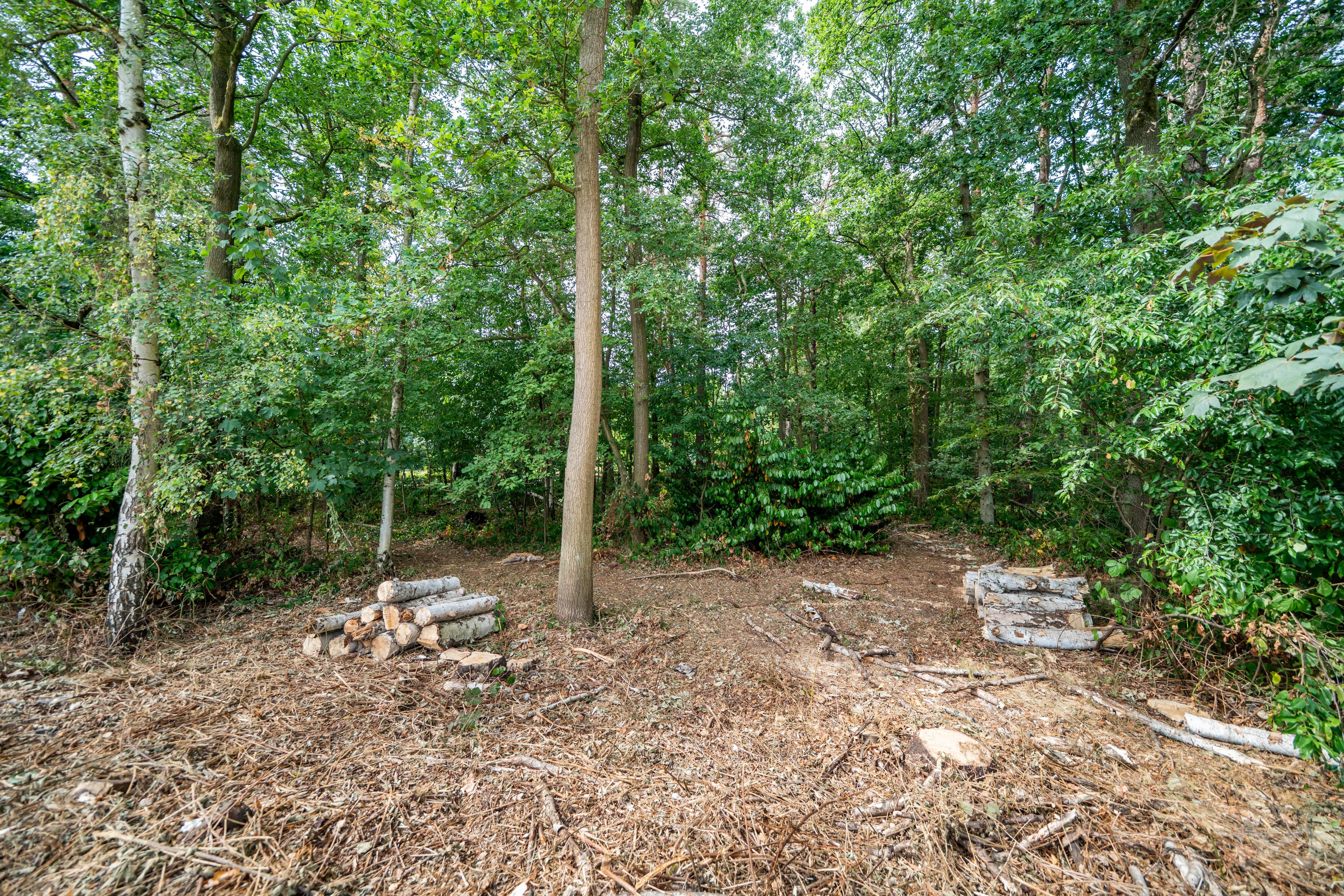 Foto van de woning
