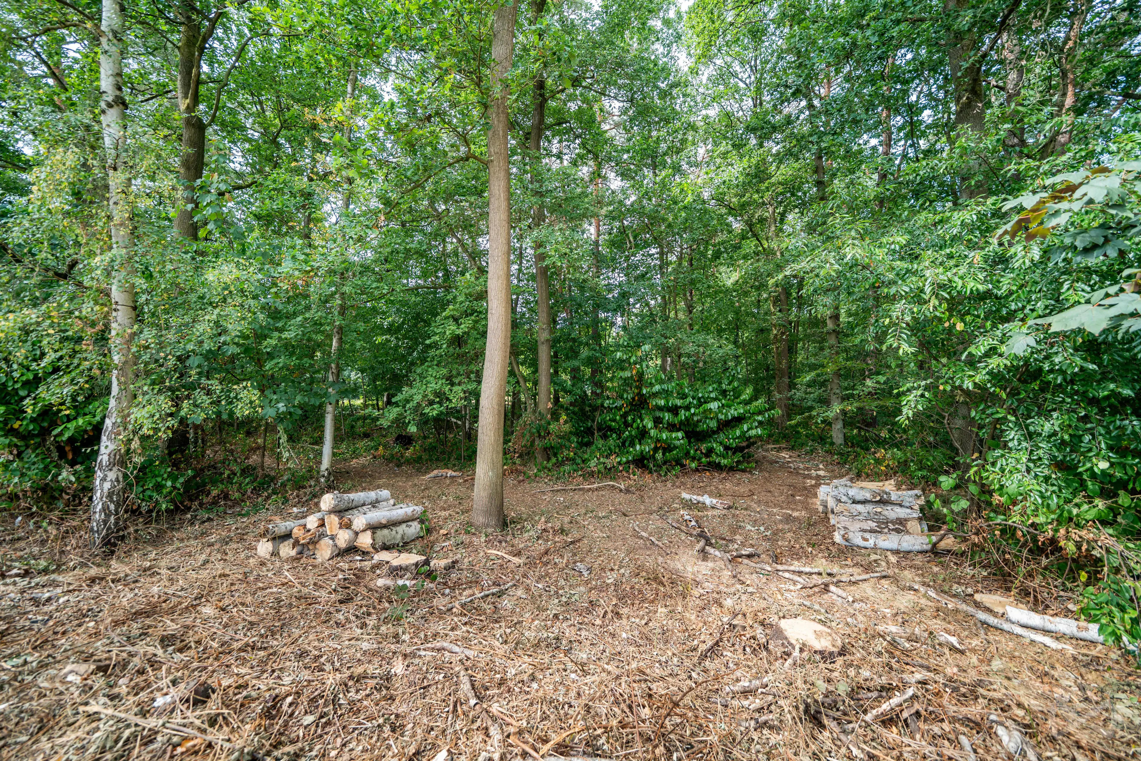 Foto van de woning