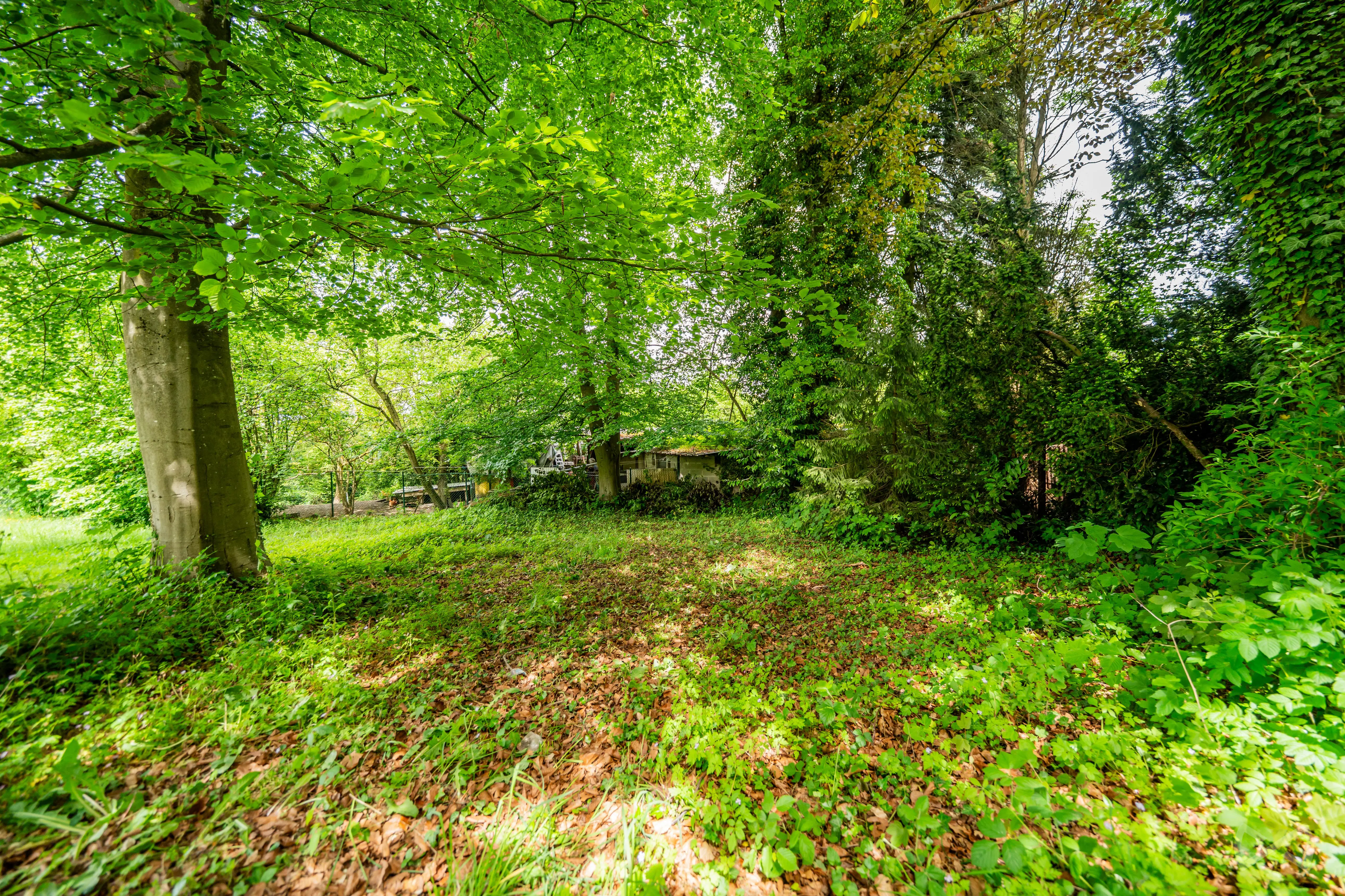 Picture of the property