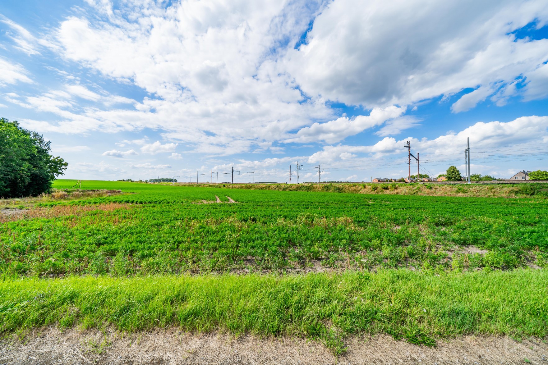 Picture 1 of 5 for Building ground in Waremme