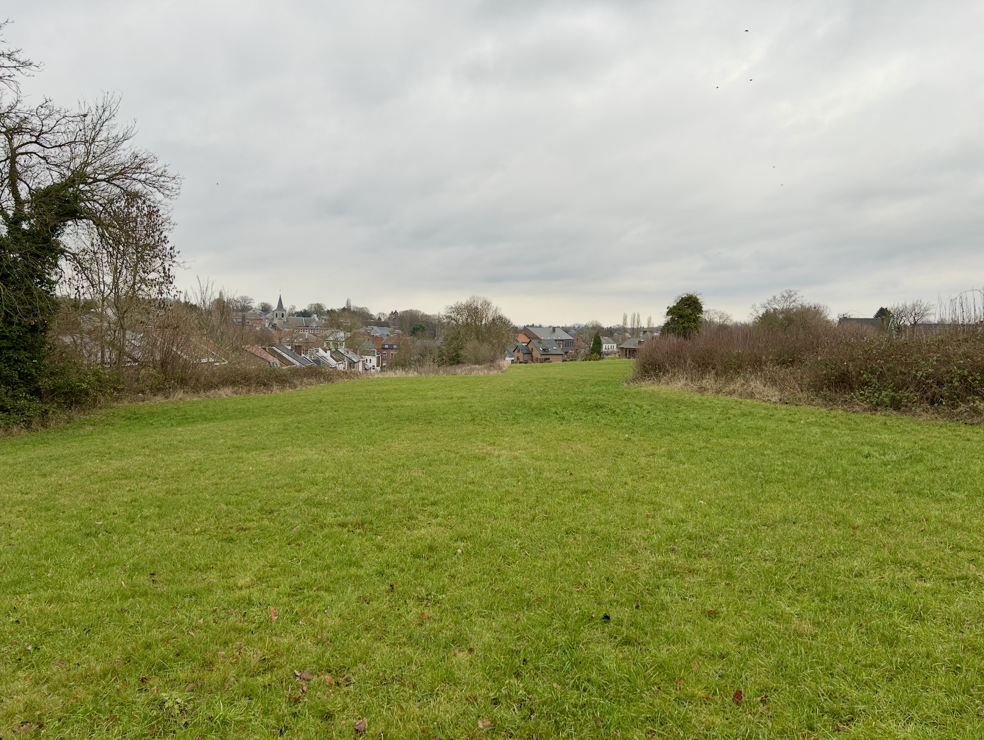 Photo 1 sur 5 pour Terrain à bâtir à Montigny-le-Tilleul