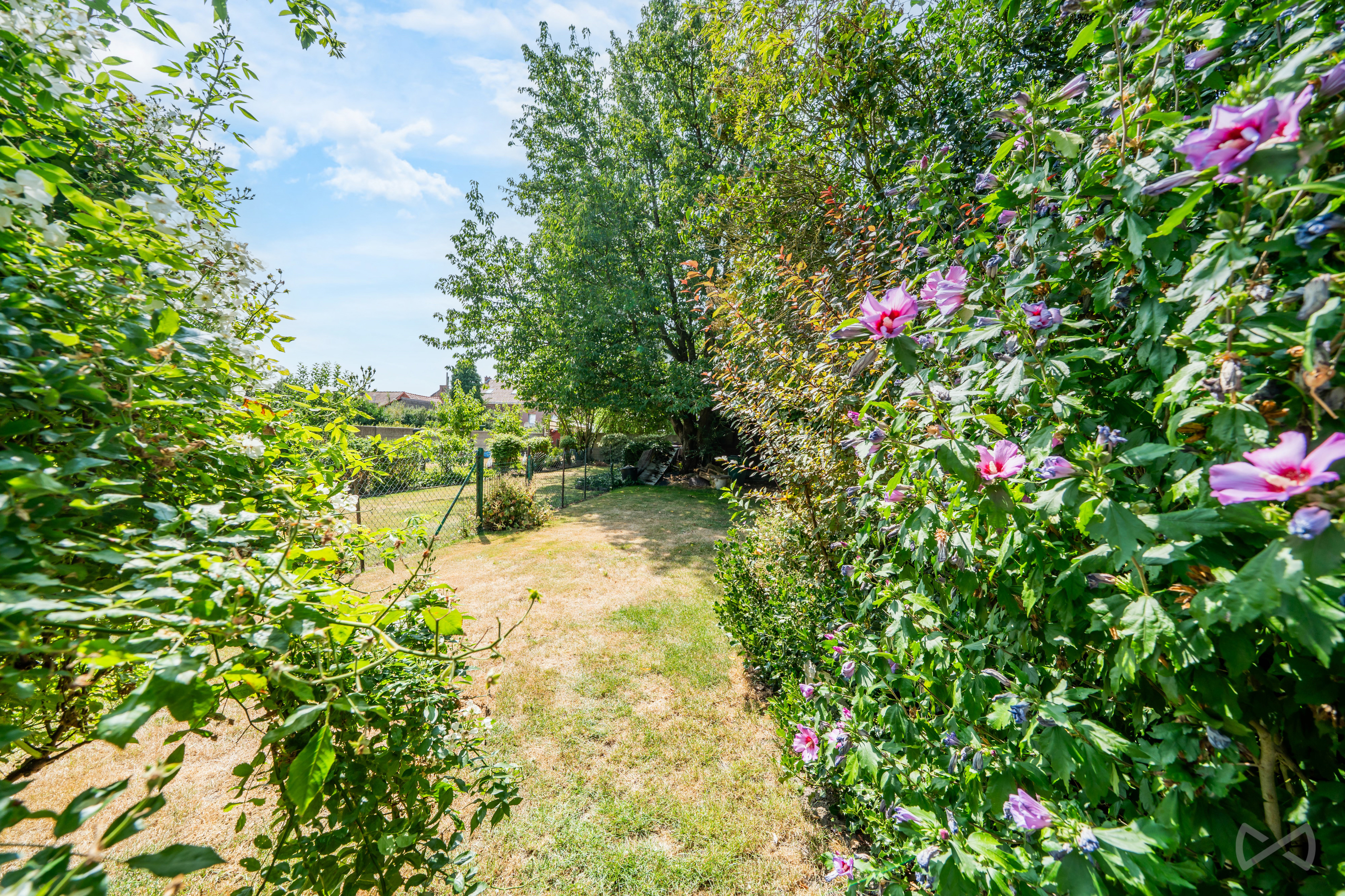 Foto van de woning