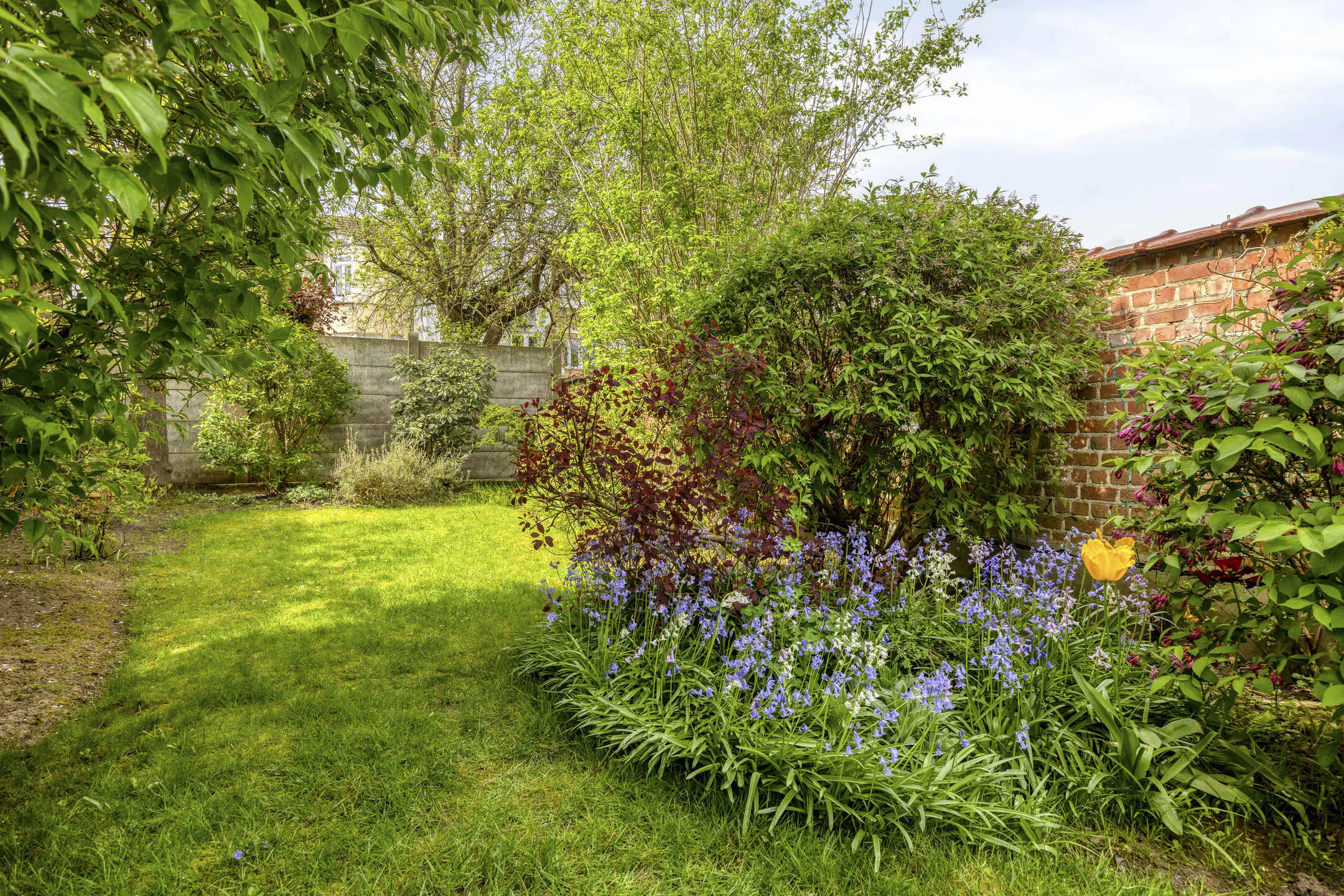 Picture 2 of 2 for Villa with three bedrooms in Berchem-Sainte-Agathe