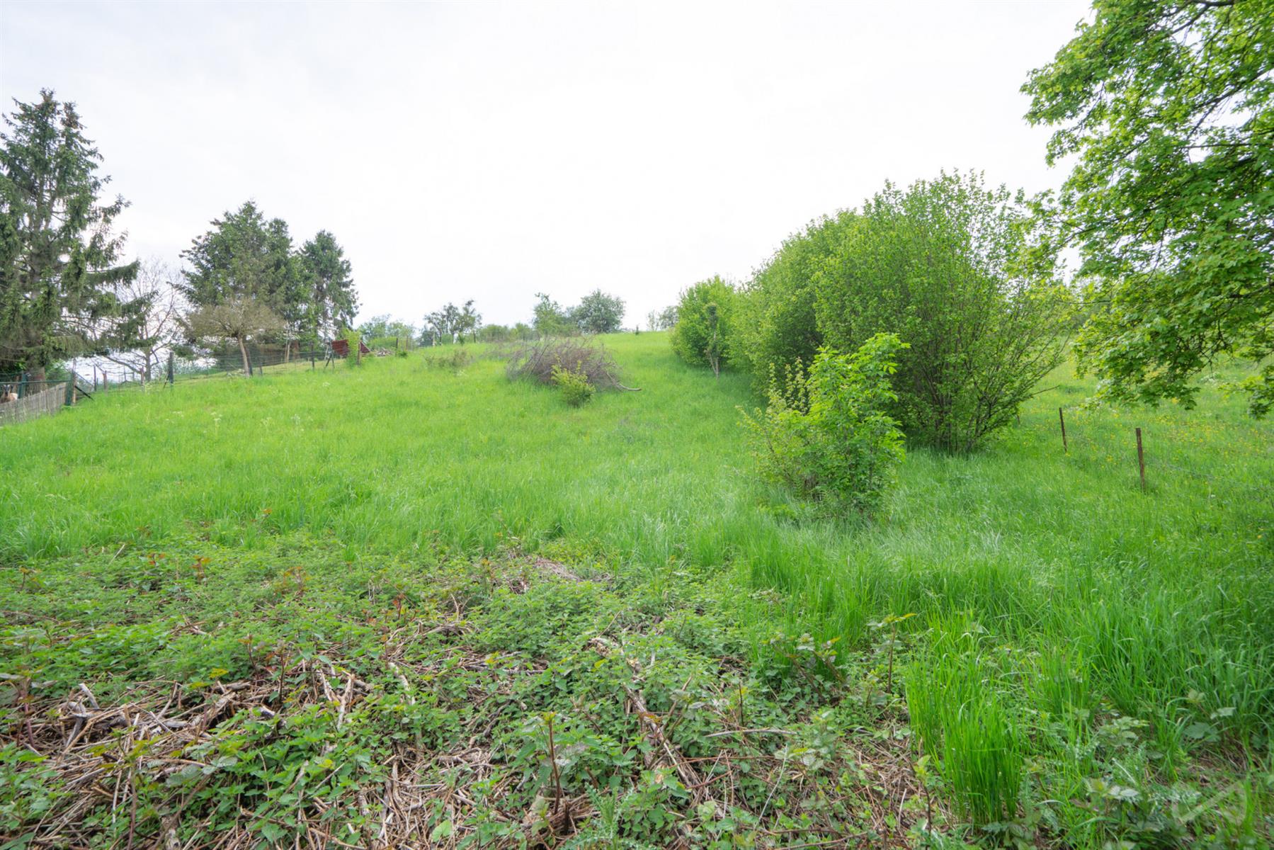 Picture 4 of 4 for Building ground in Silenrieux