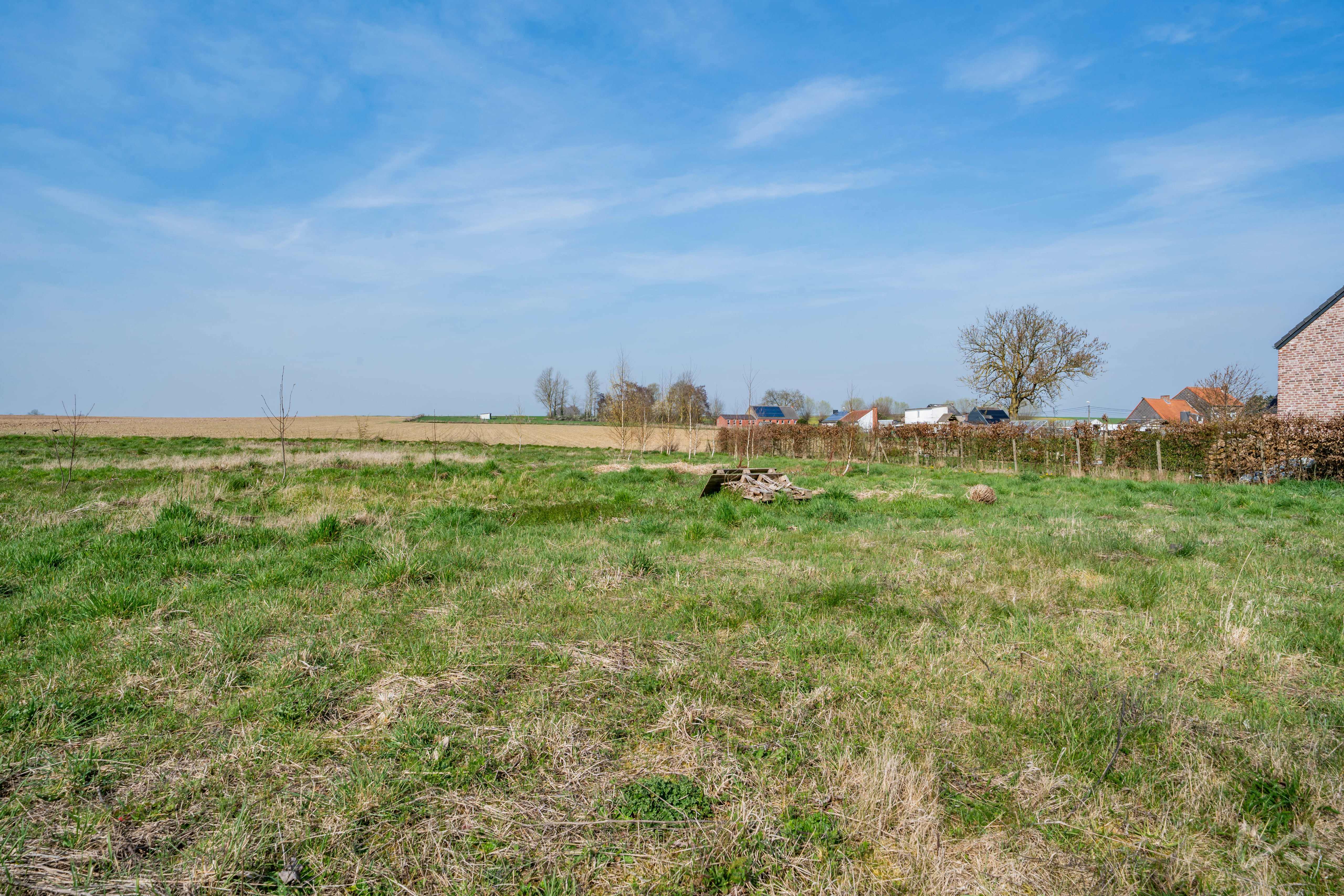 Photo 1 sur 4 pour Terrain à bâtir à Piétrain