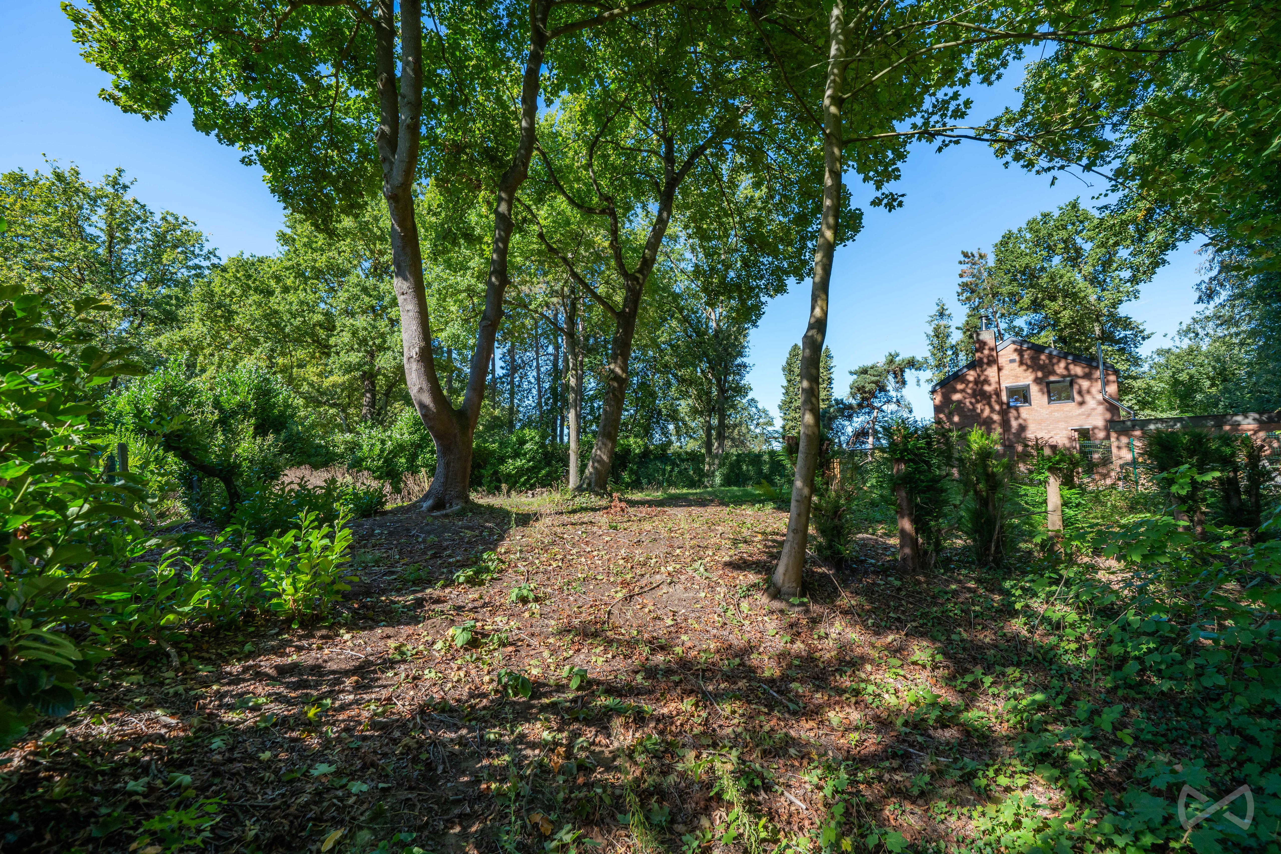 Foto van de woning