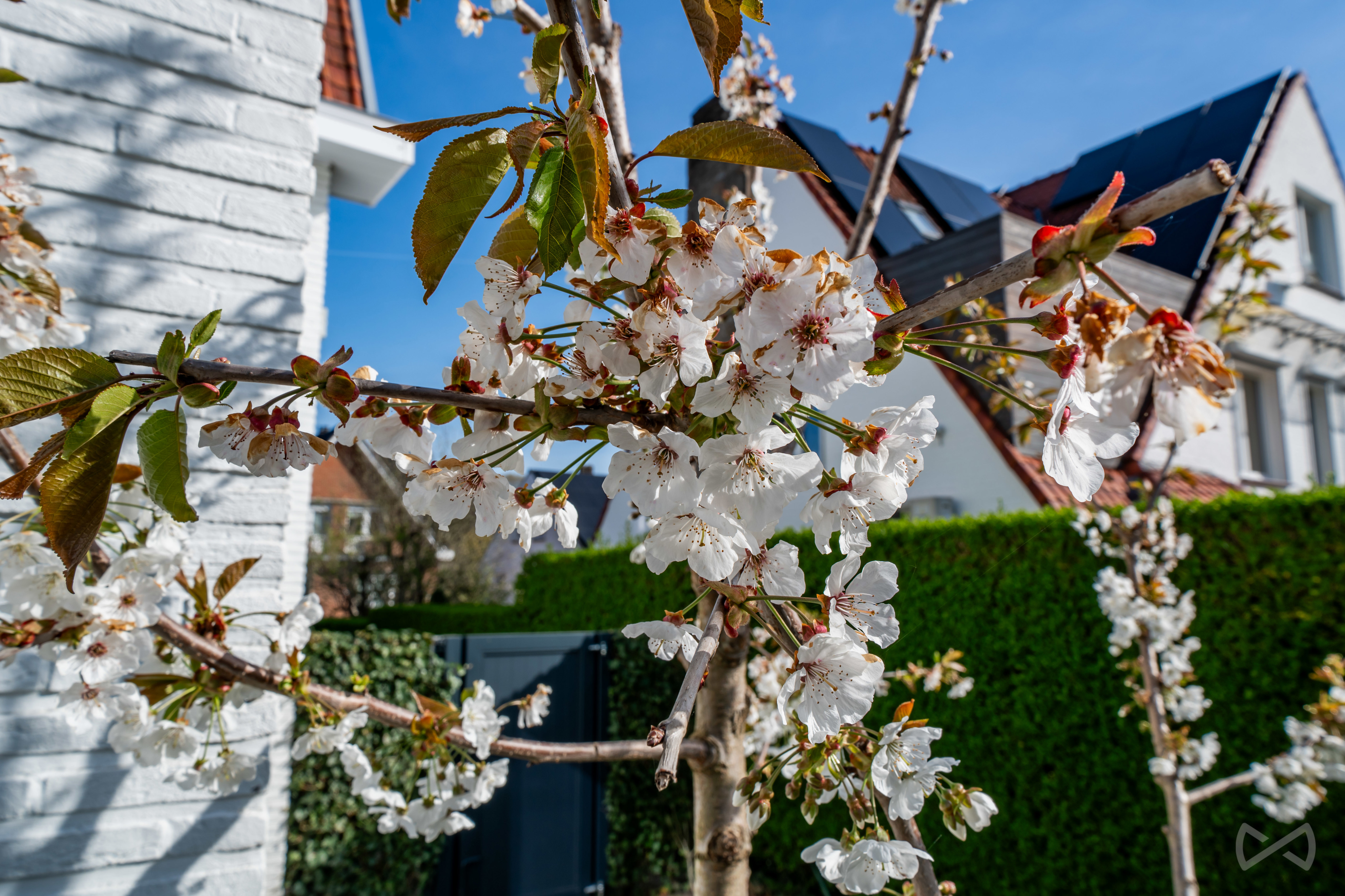 Picture 3 of 4 for House with three bedrooms in Woluwe-Saint-Pierre