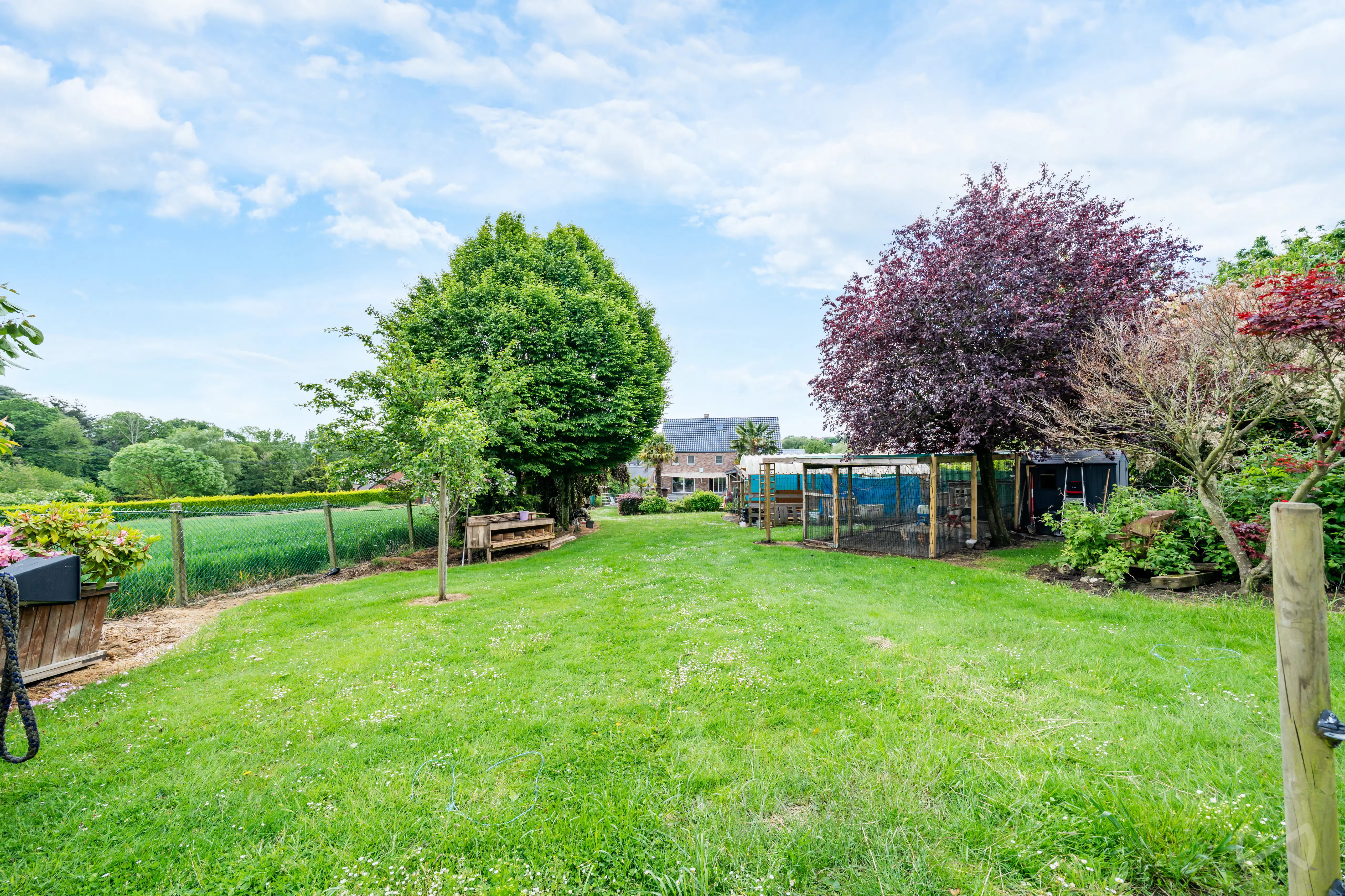 Picture 4 of 4 for Exceptional house with four bedrooms in Courcelles